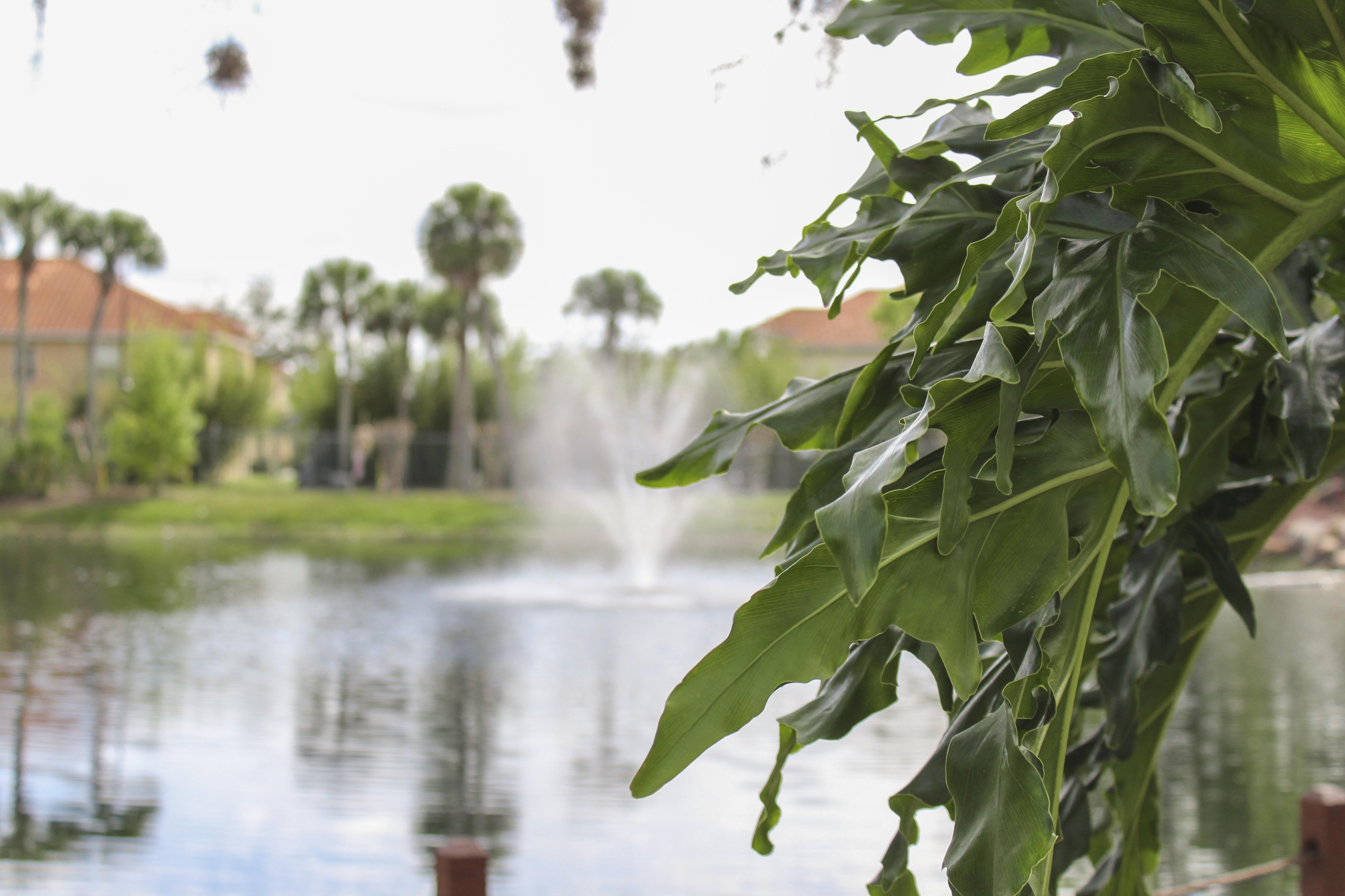 Hilton Vacation Club Polynesian Isles Kissimmee Hotel Exterior photo