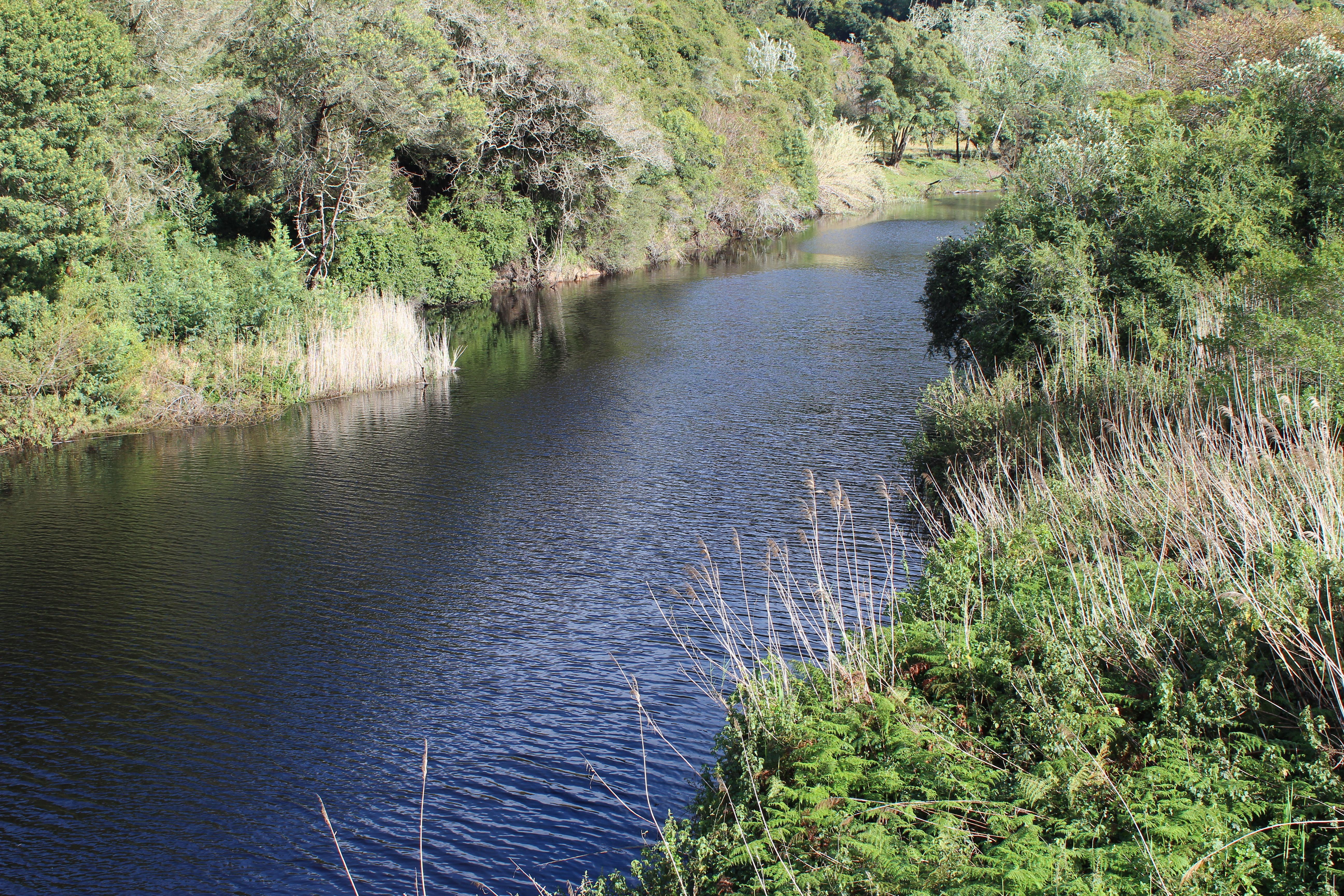 Blackwaters River Lodge, Knysna Exterior photo