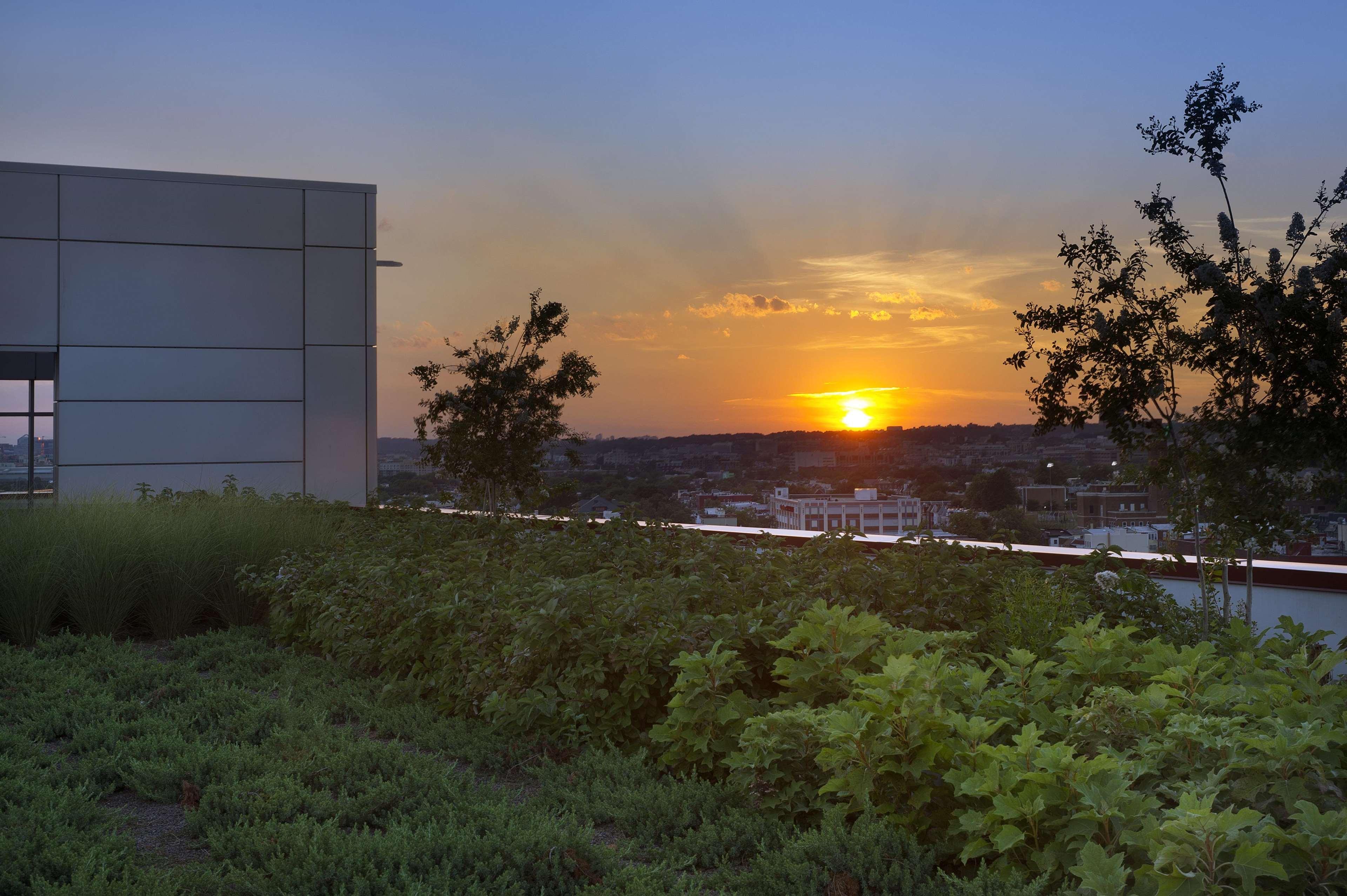 Homewood Suites By Hilton Washington Dc Noma Union Station Exterior photo