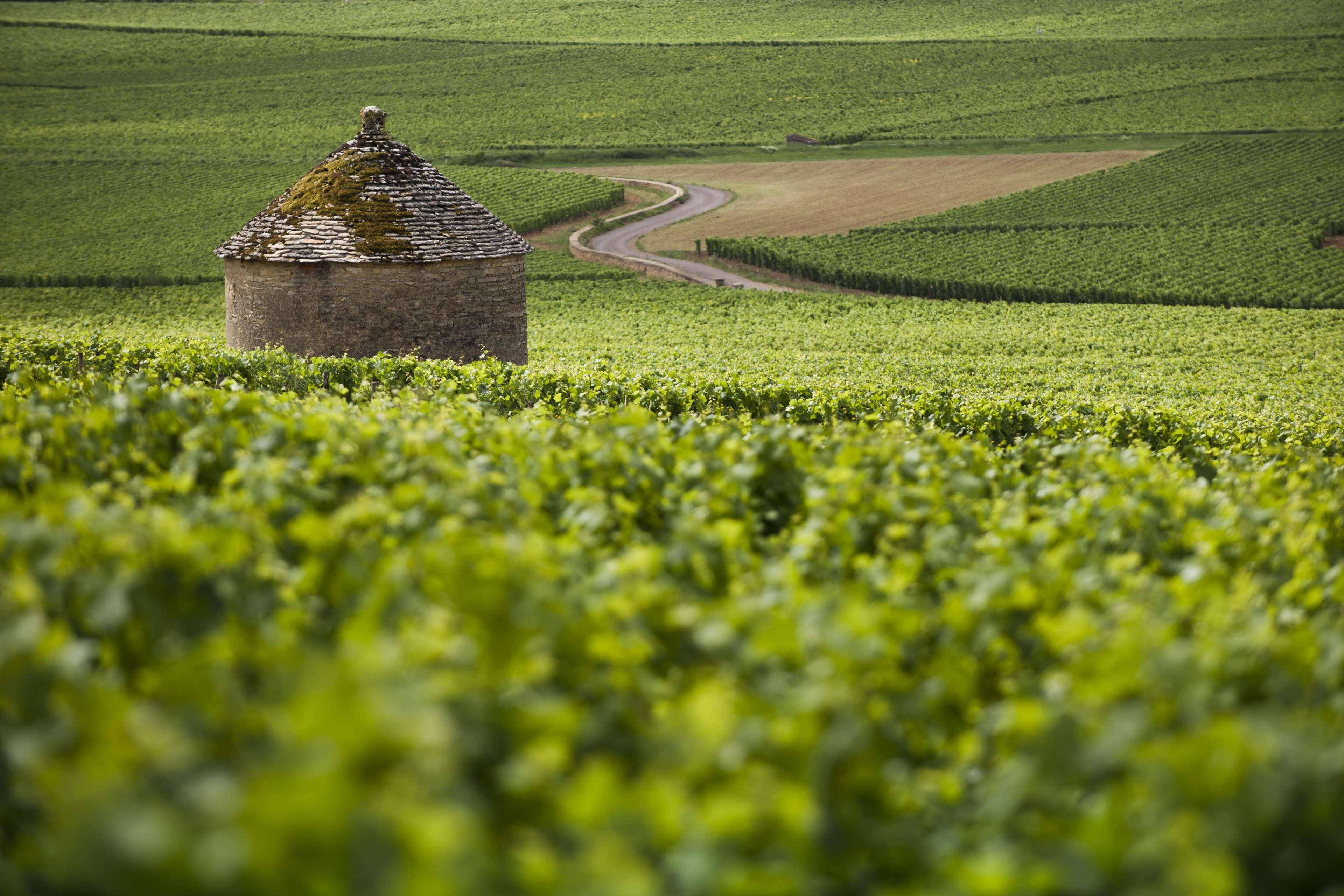 Kyriad Beaune Beaune  Exterior photo