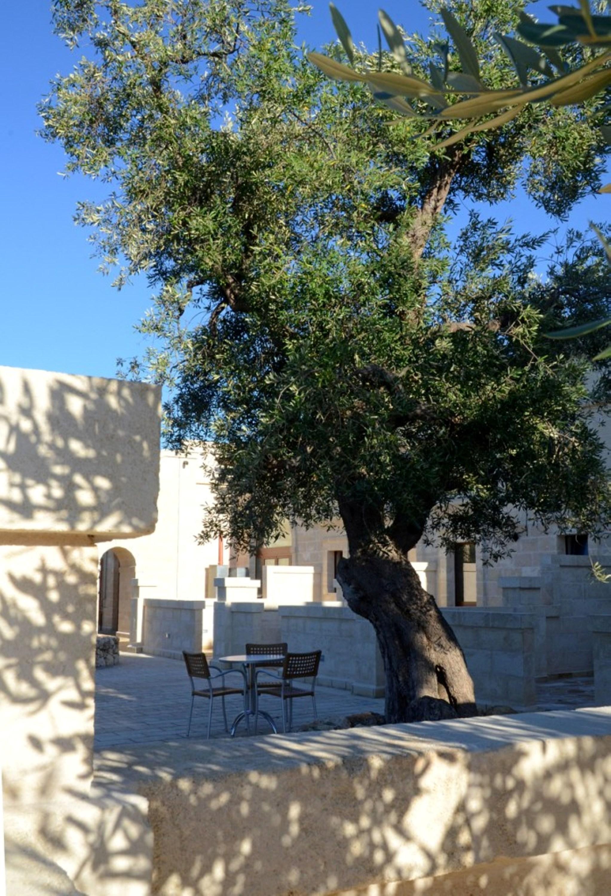 Agriturismo Masseria San Leonardo Savelletri Exterior photo