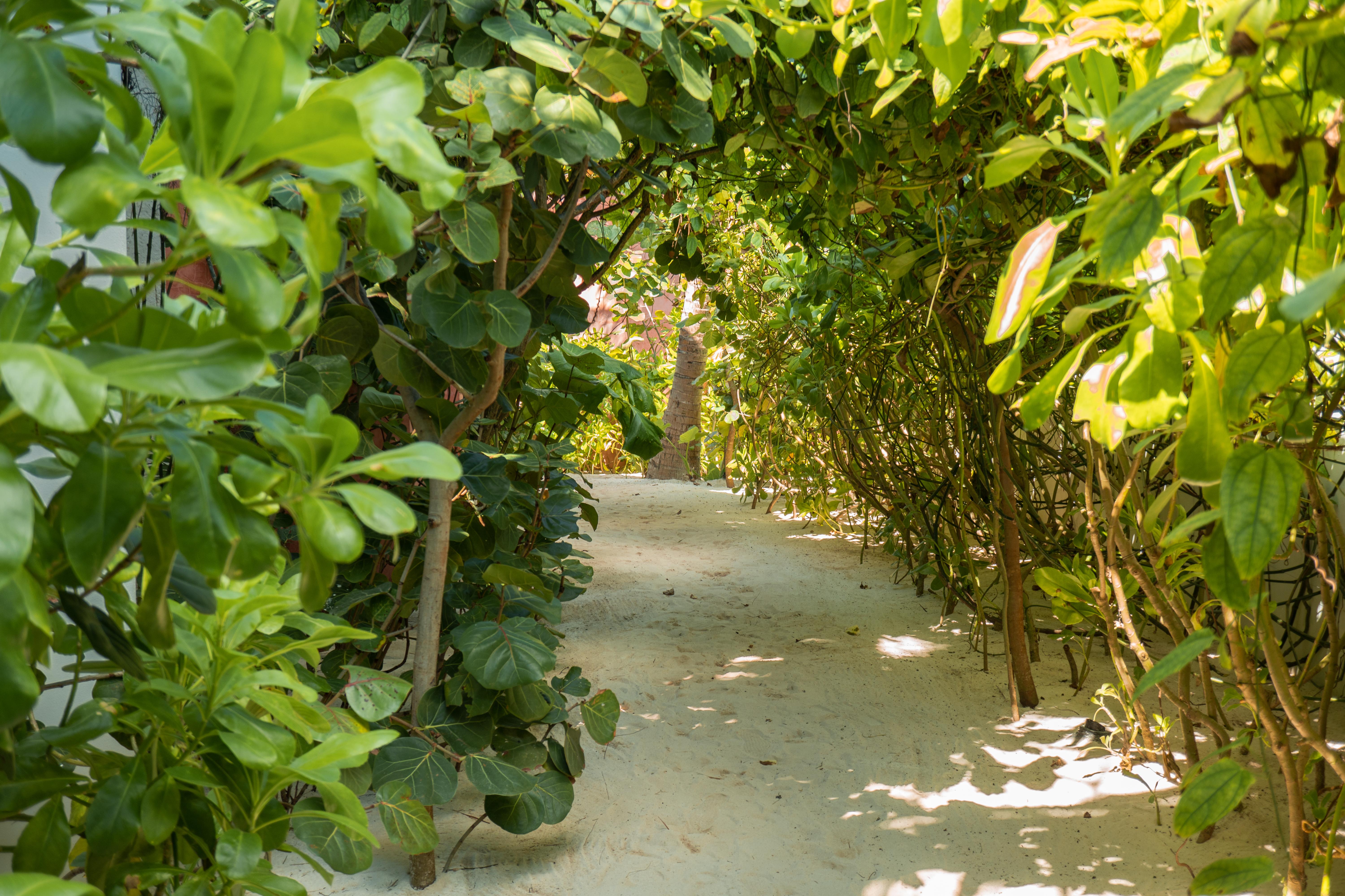 Tago Tulum By G Hotels Exterior photo