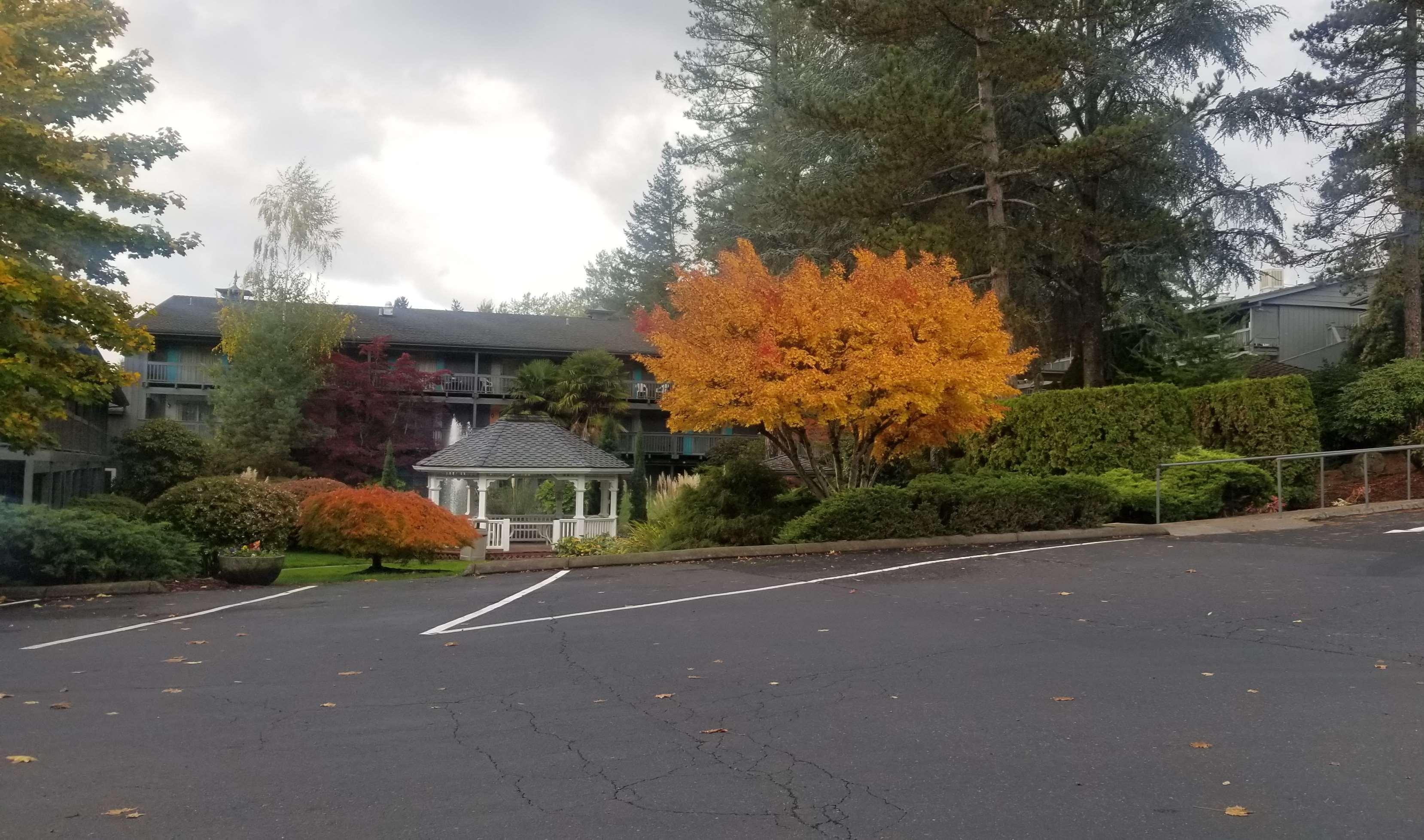 Best Western Portland West Beaverton Exterior photo