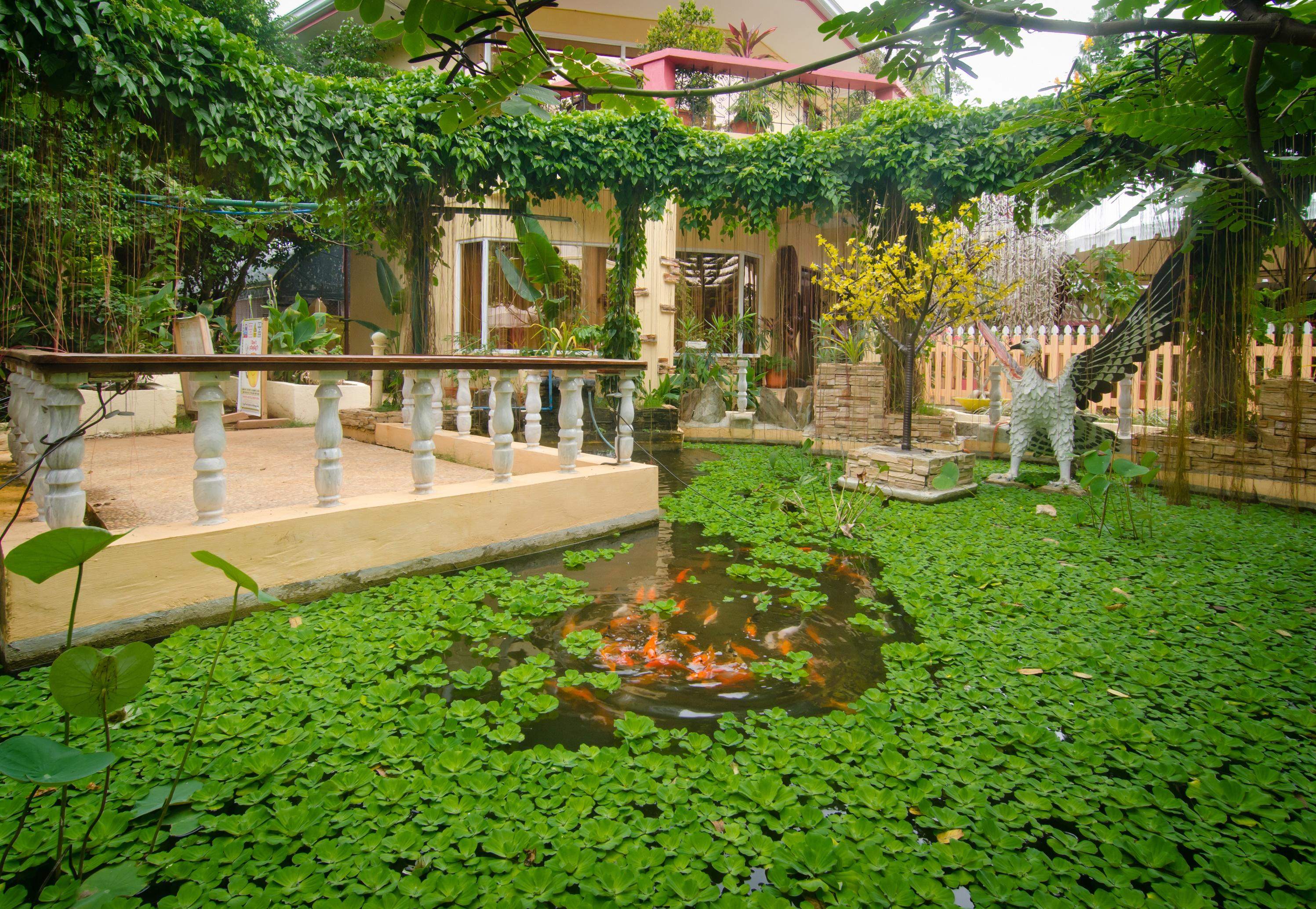 Deep Forest Garden Hotel Puerto Princesa Exterior photo