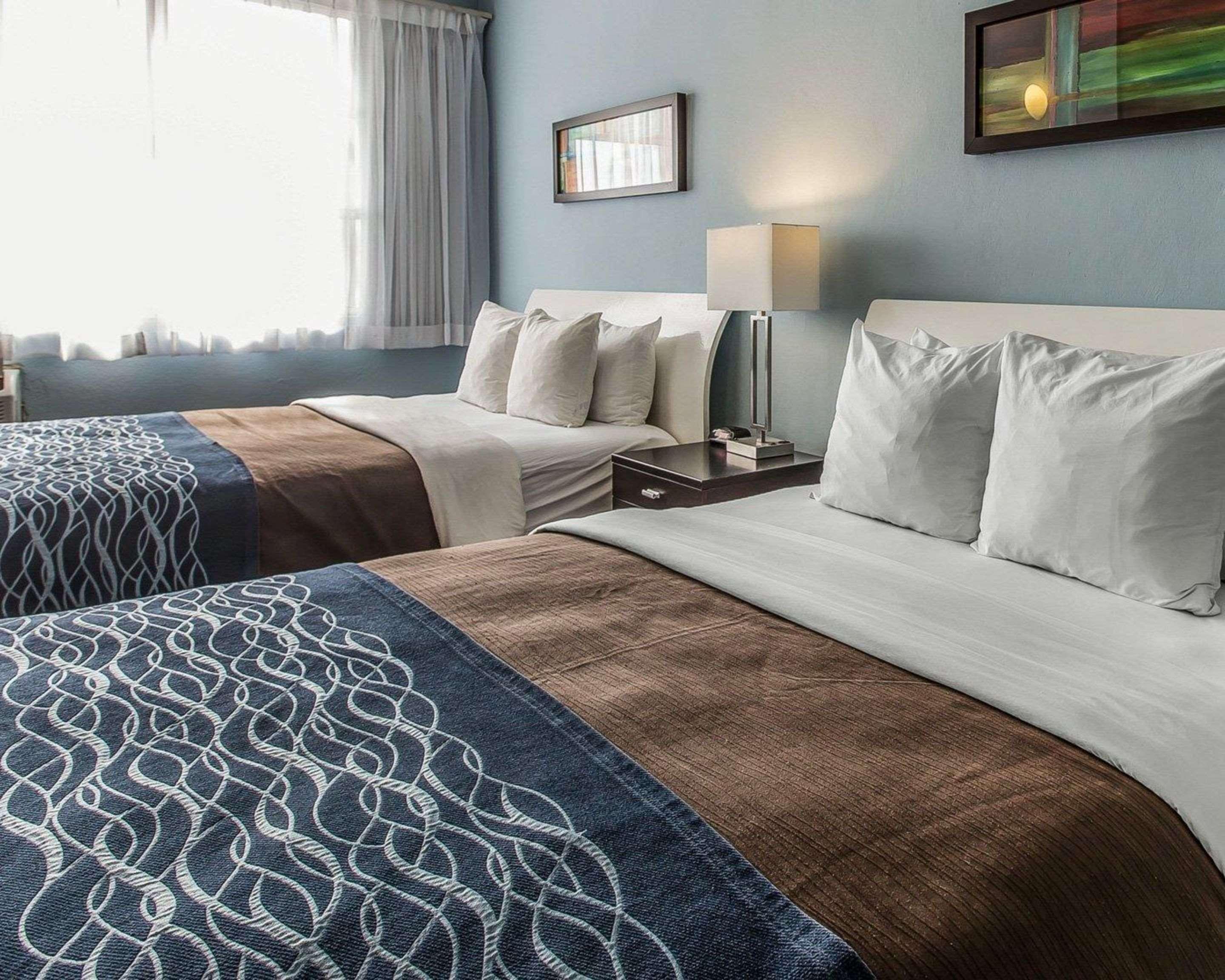 Comfort Inn & Suites Levittown Exterior photo