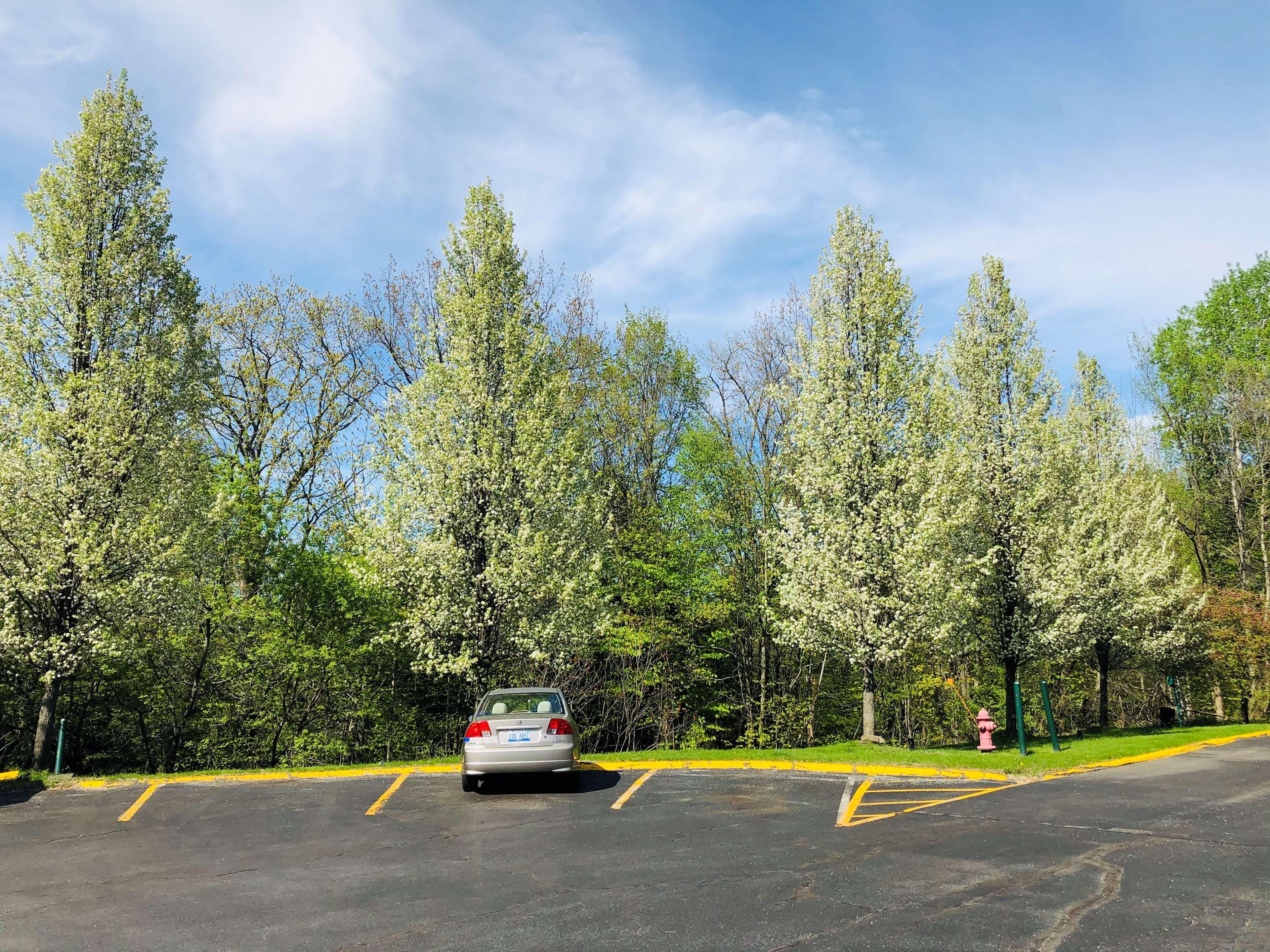 Best Western West Lebanon- Hanover Hotel Exterior photo