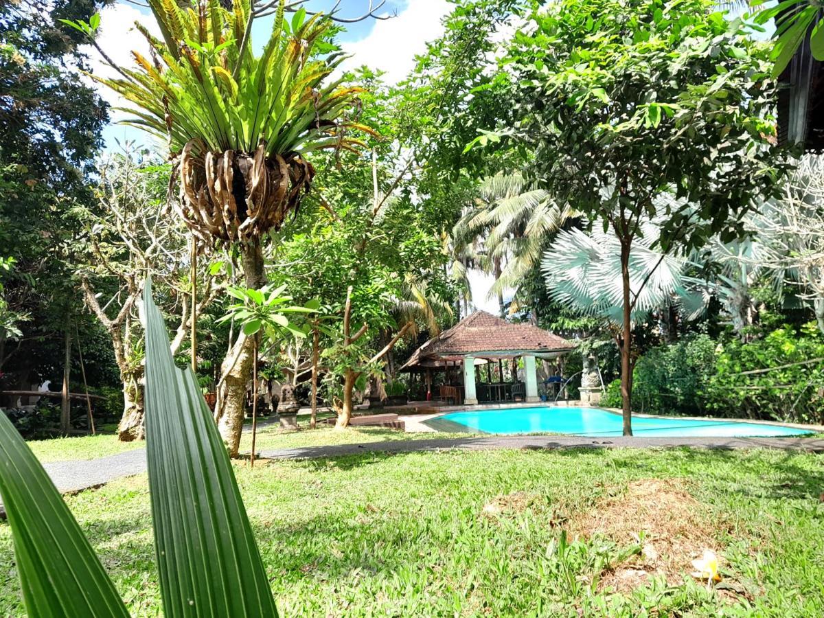 Panorama Hotel Ubud  Exterior photo