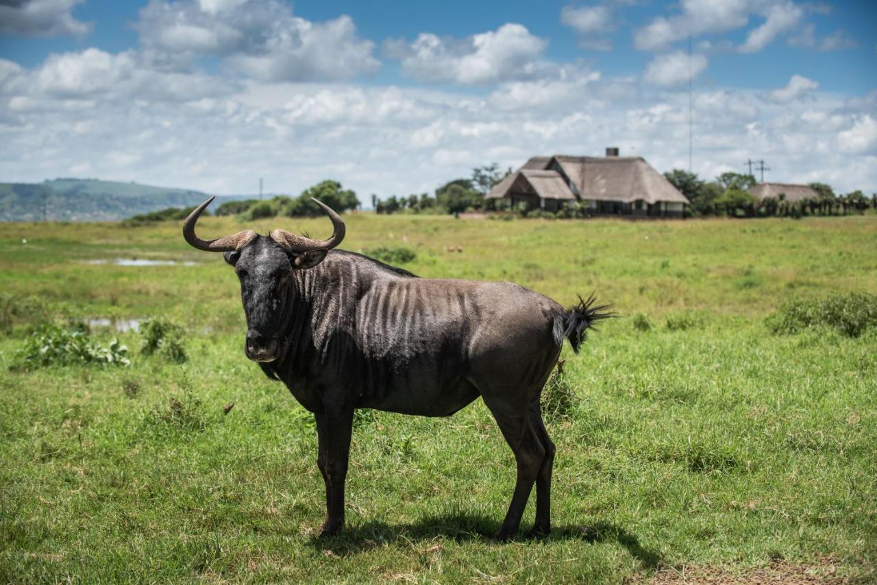 Tala Collection Game Reserve, By Dream Resorts Silverton Exterior photo