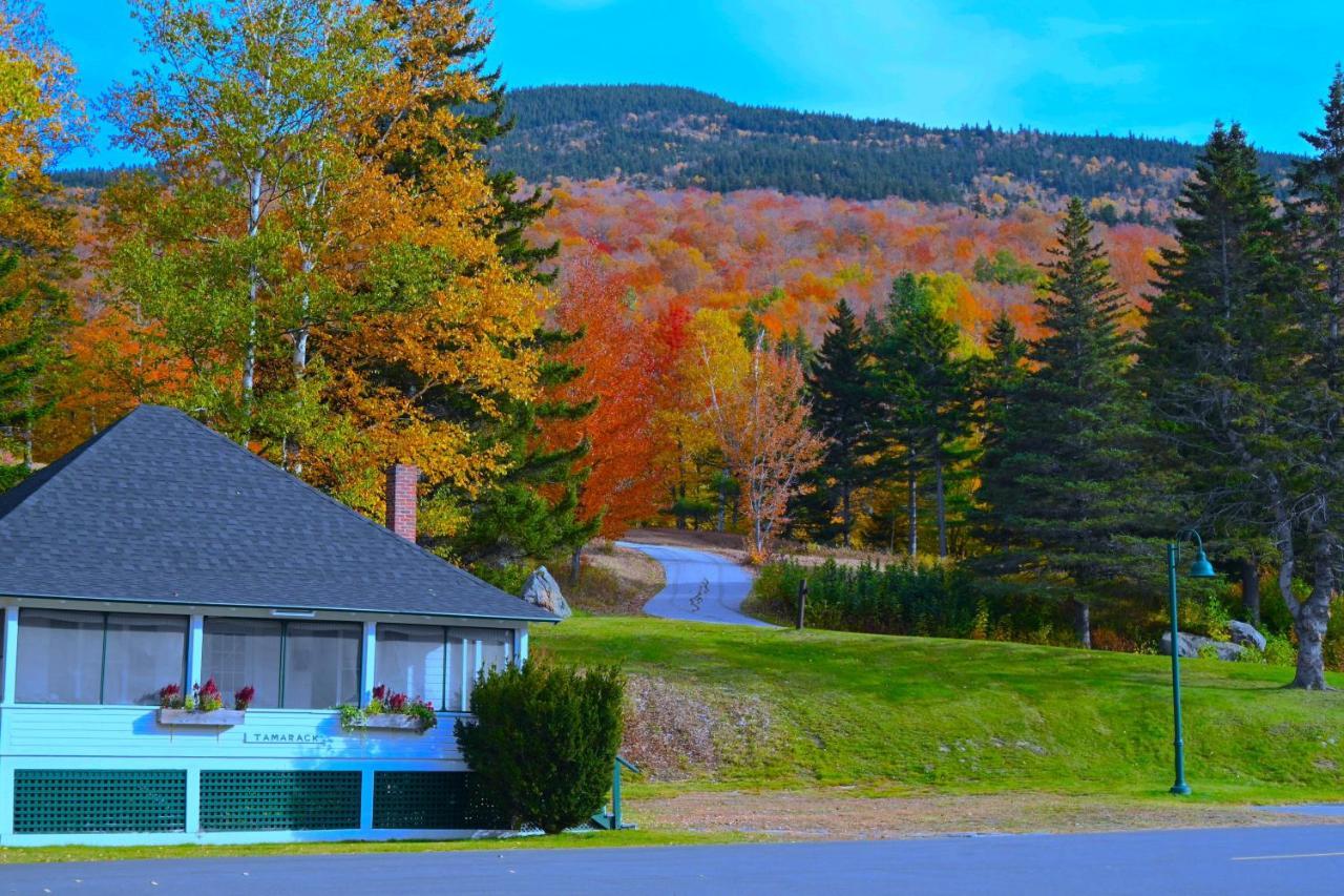 The Lodge At Jackson Village Exterior photo