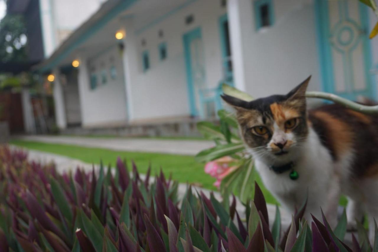 Rose Homestay Gili Trawangan Exterior photo