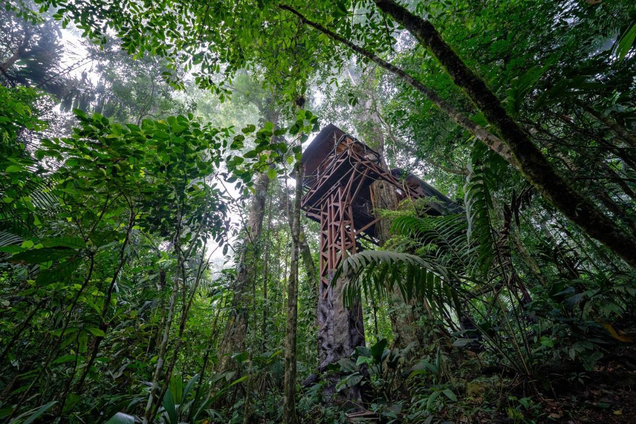 Maquenque Ecolodge Boca Tapada Exterior photo