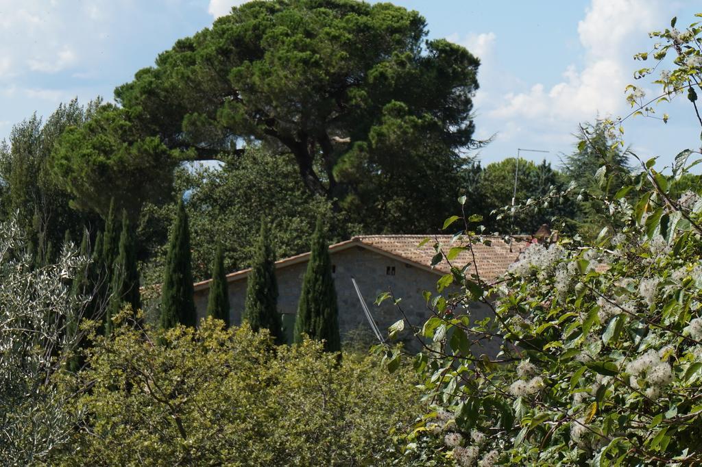 Casa Lucia In Chianti Bed & Breakfast Vagliagli Exterior photo