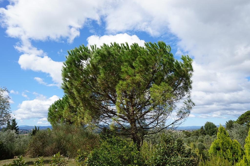 Casa Lucia In Chianti Bed & Breakfast Vagliagli Exterior photo