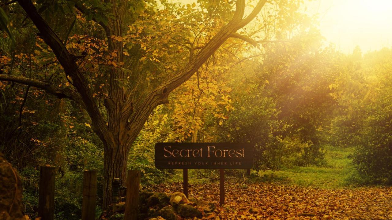 Secret Forest - Wellness Retreat & Healing Spa (Adults Only) Miliou Exterior photo