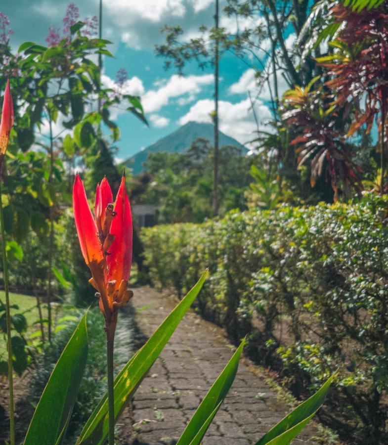 Arenal Backpackers Resort La Fortuna Exterior photo