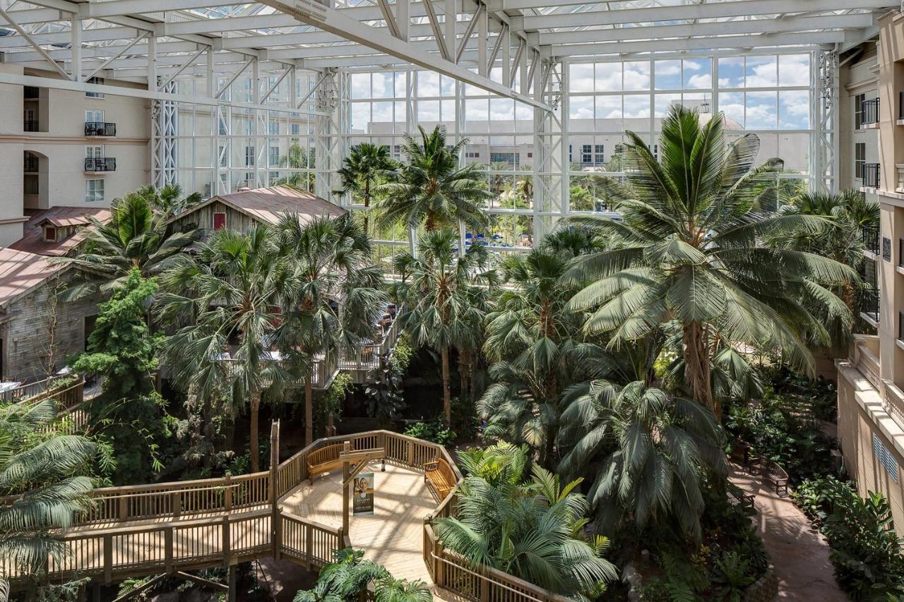 Gaylord Palms Resort & Convention Center Orlando Exterior photo