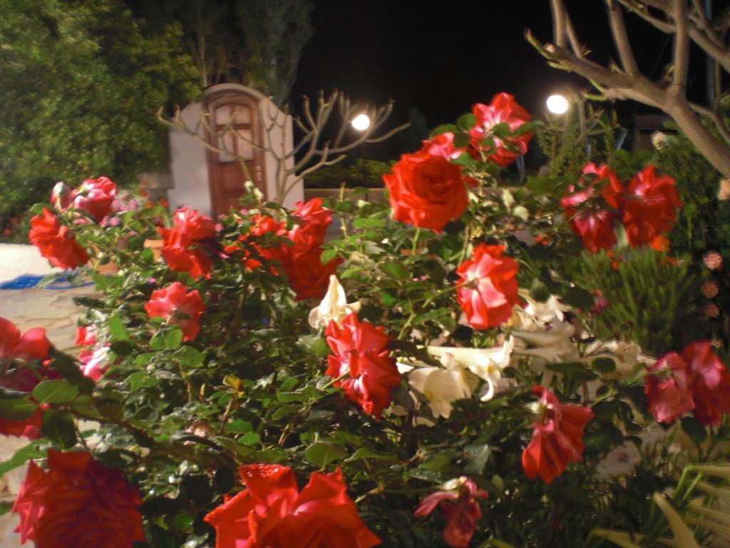 Esperides Hotel Ierapetra  Exterior photo