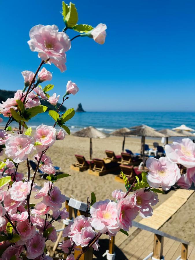 Romantic Palace Beach Apartments Agios Gordios  Exterior photo