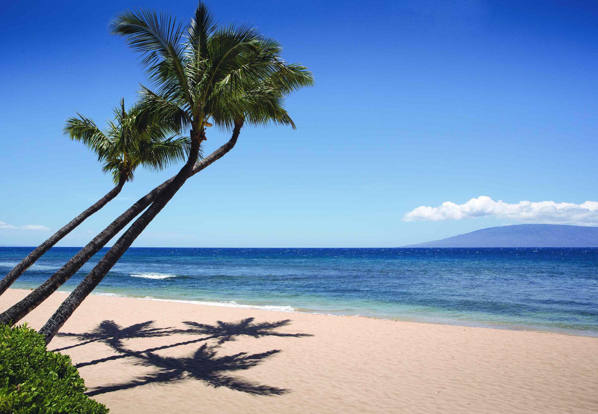 Marriott'S Maui Ocean Club - Molokai, Maui & Lanai Towers Hotel Lahaina Exterior photo