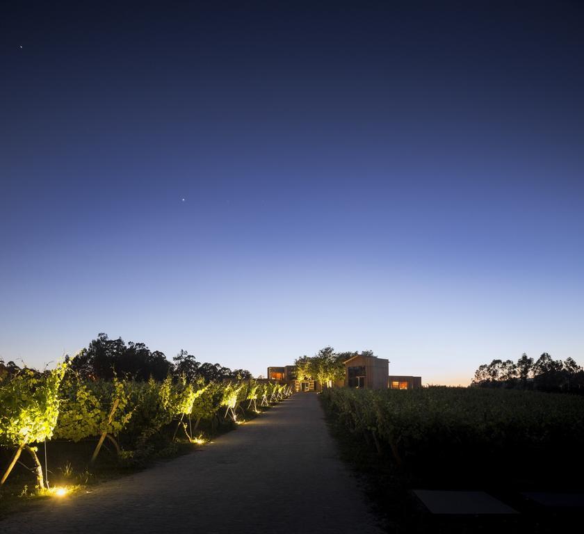 Monverde - Wine Experience Hotel - By Unlock Hotels Amarante Exterior photo