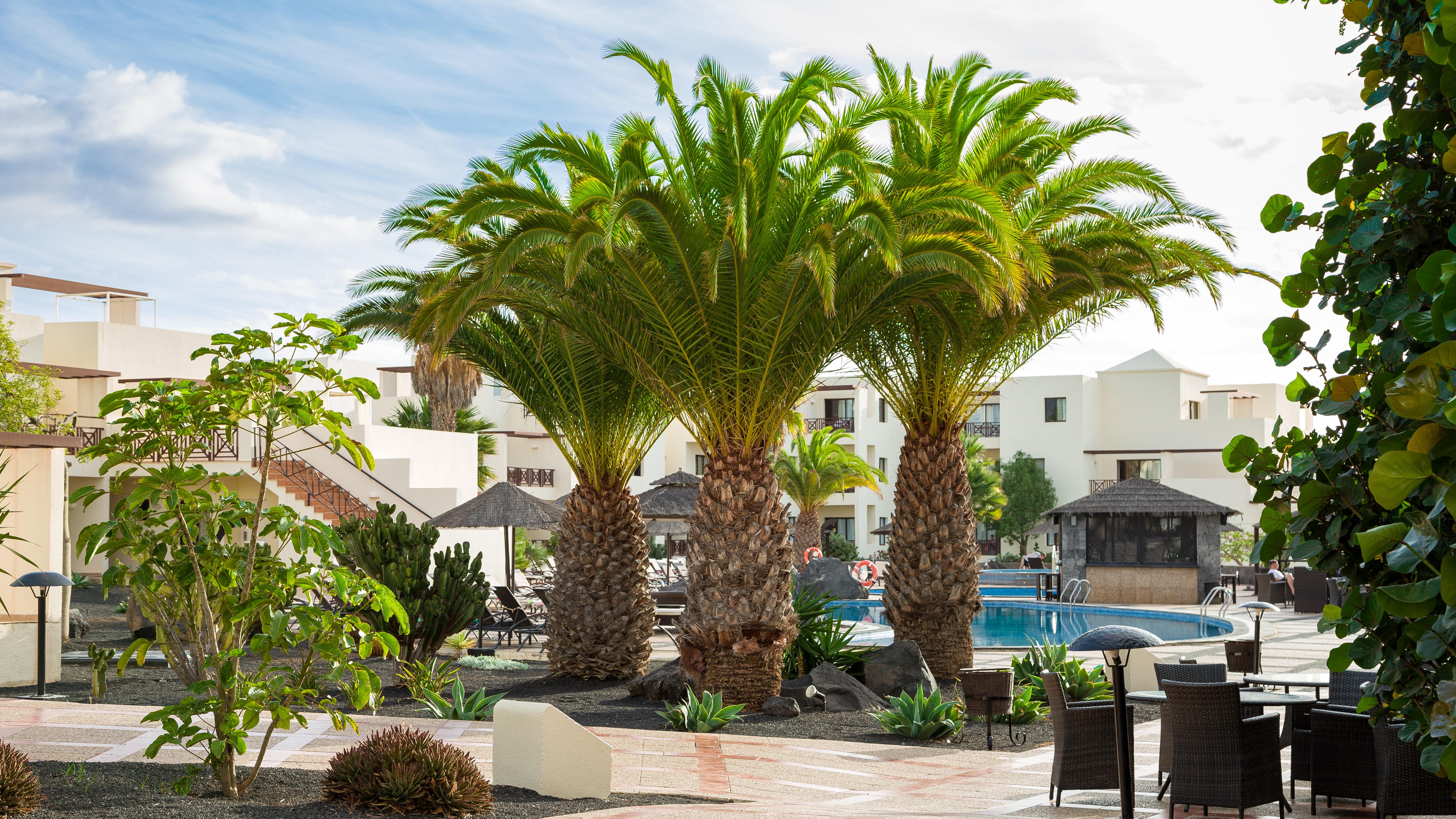 Vitalclass Lanzarote Resort (Adults Only) Costa Teguise Exterior photo