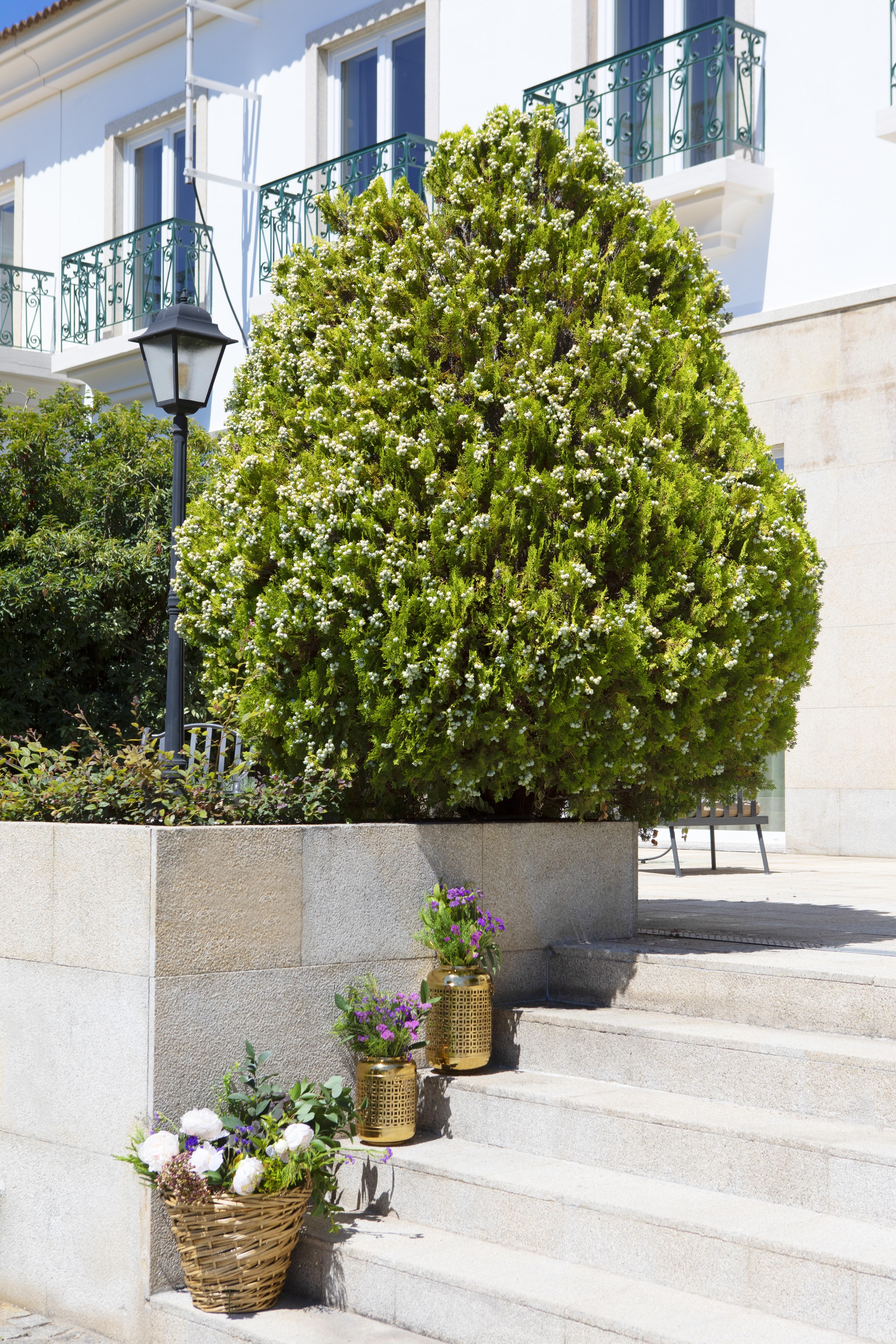 Montebelo Principe Perfeito Viseu Garden Hotel Exterior photo