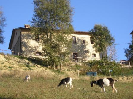 Azienda Agrituristica Il Sarale Villa Montone  Exterior photo
