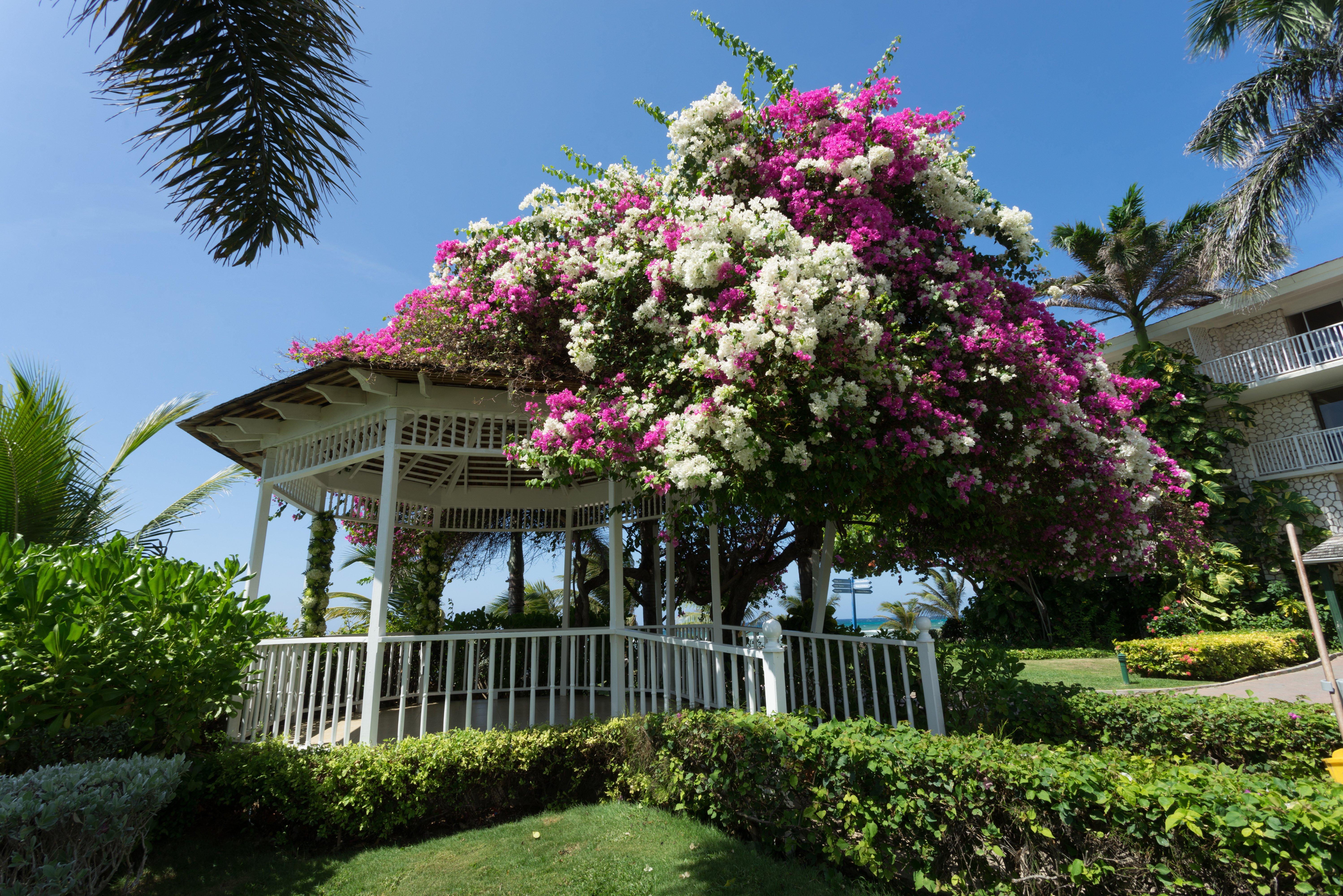 Holiday Inn Resort Montego Bay All-Inclusive, An Ihg Hotel Exterior photo