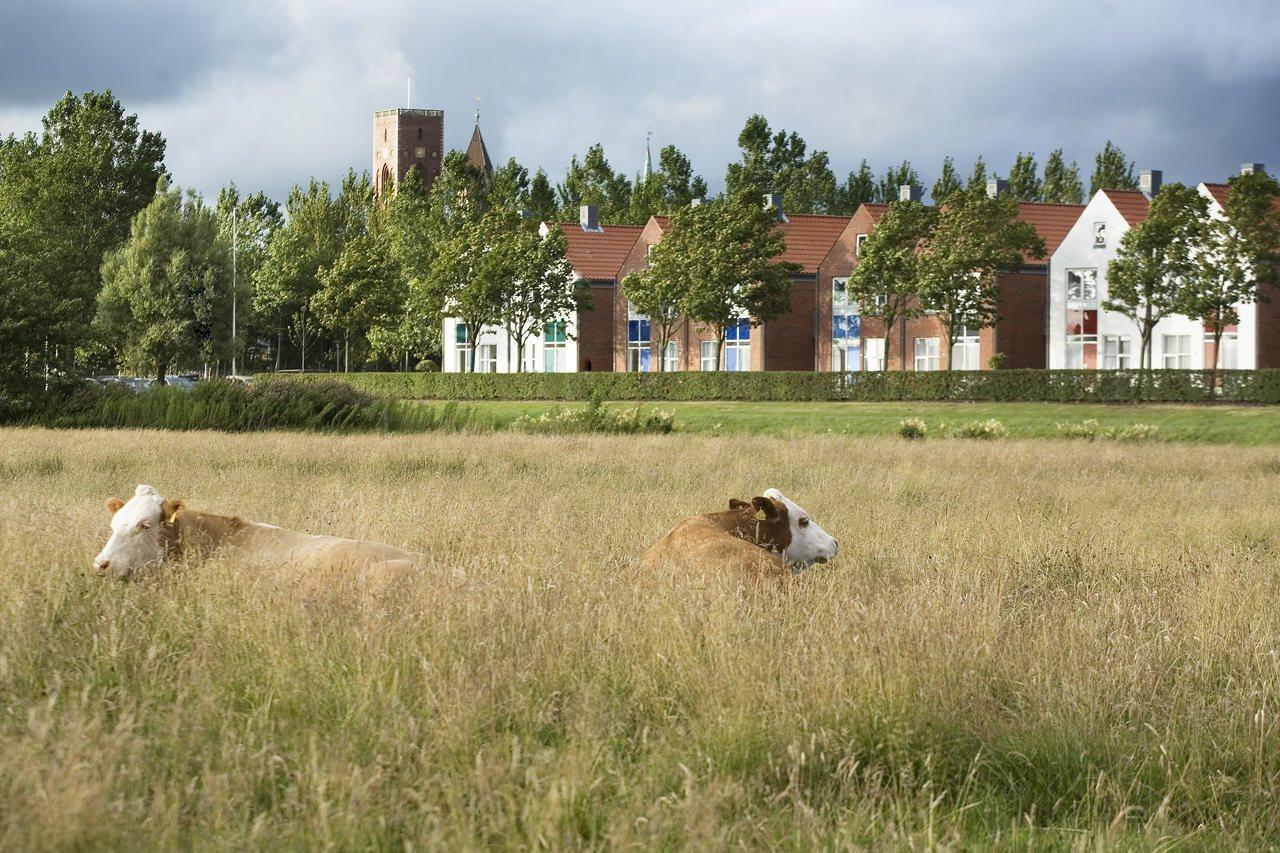 Ribe Byferie Resort Exterior photo