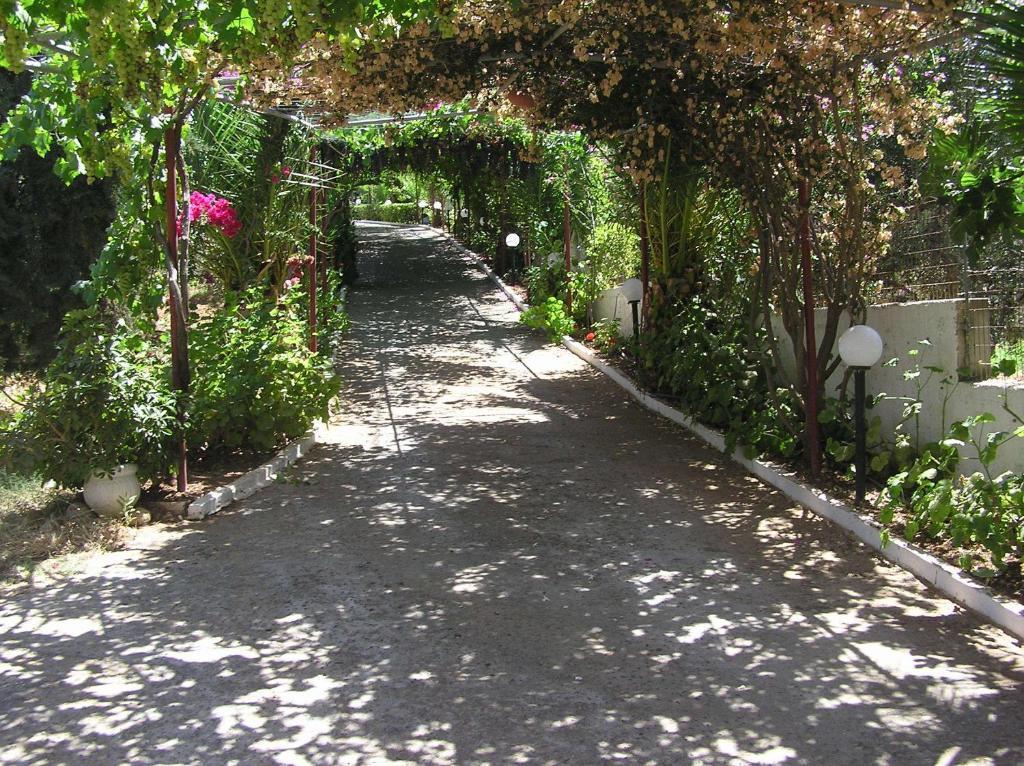 Knossos Aparthotel Panormos  Exterior photo