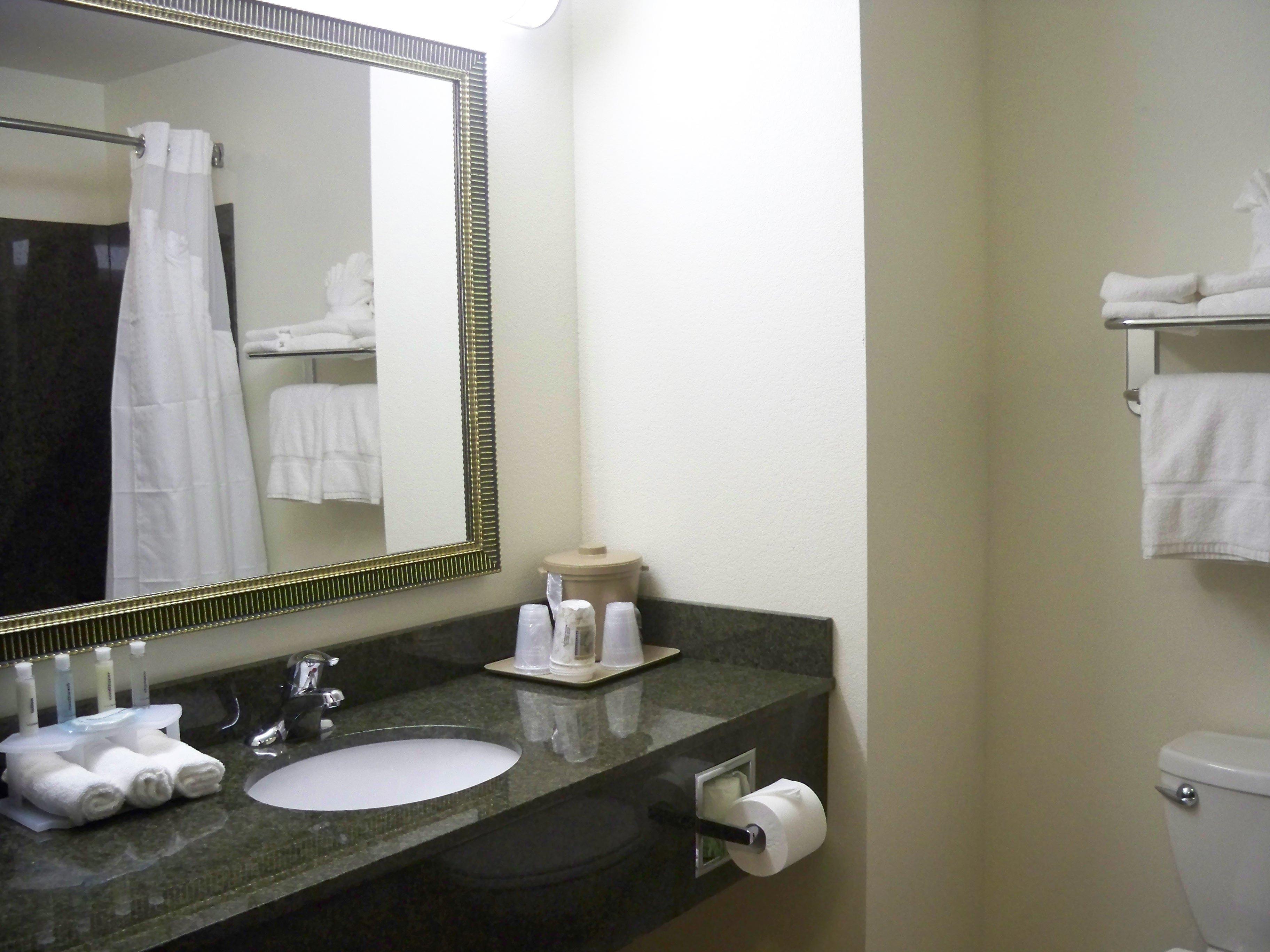 Holiday Inn Express & Suites - Omaha I - 80, An Ihg Hotel Gretna Room photo