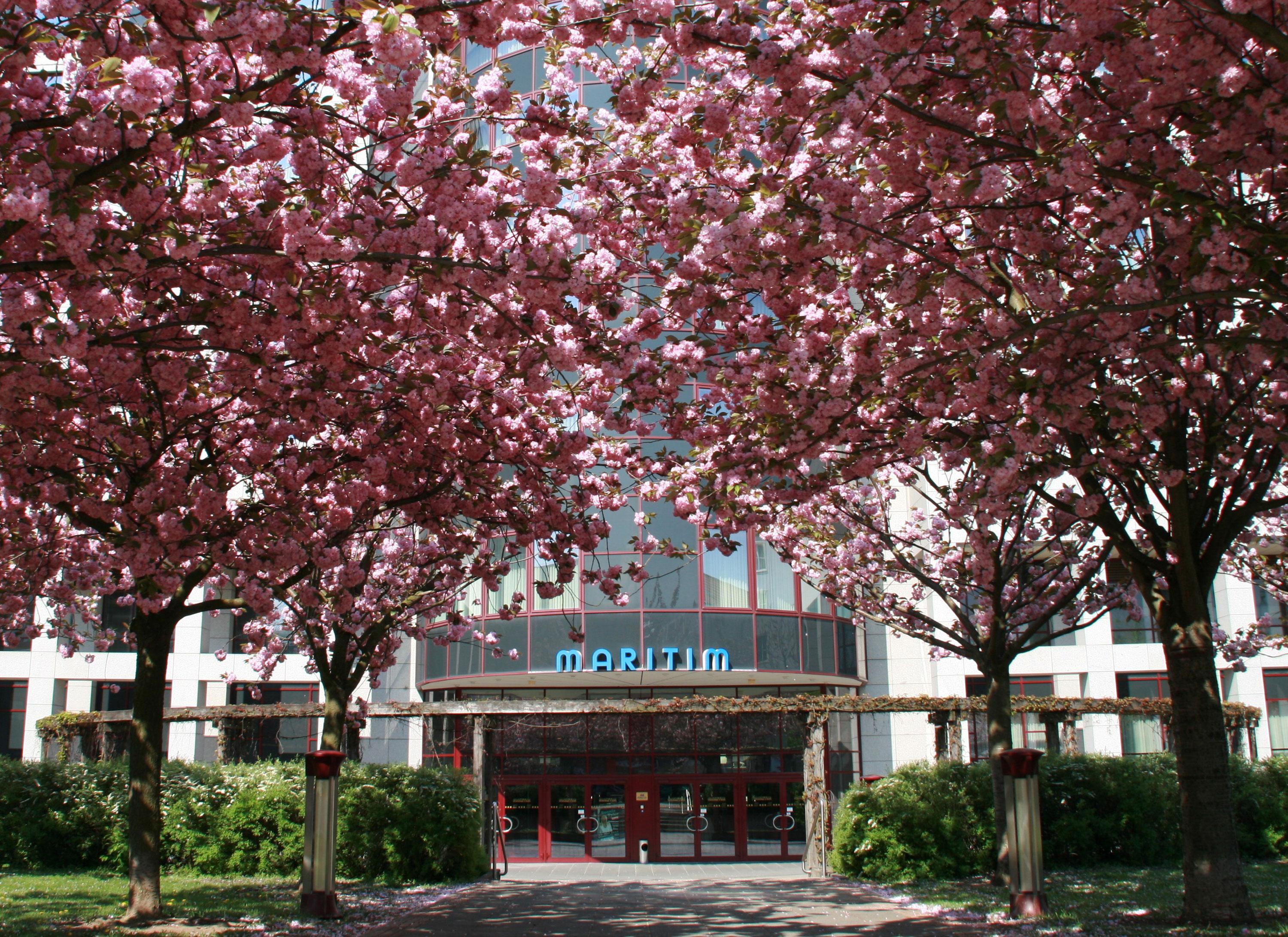 Maritim Hotel Magdeburg Exterior photo