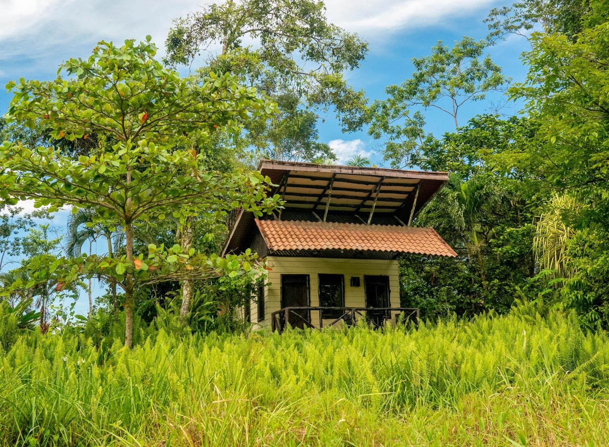 Maquenque Ecolodge Boca Tapada Exterior photo