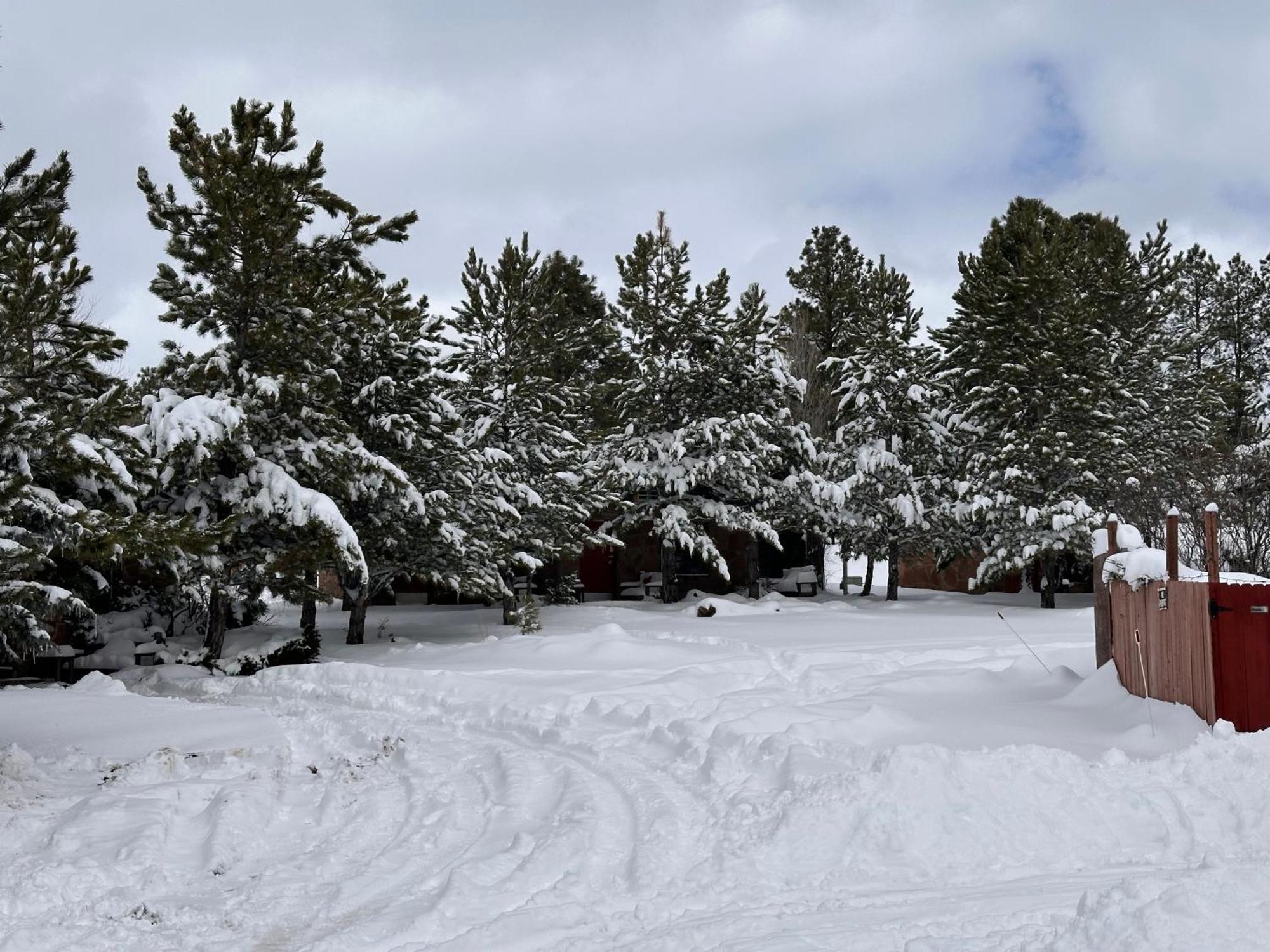 The Canyon Motel & Rv Park Williams Exterior photo