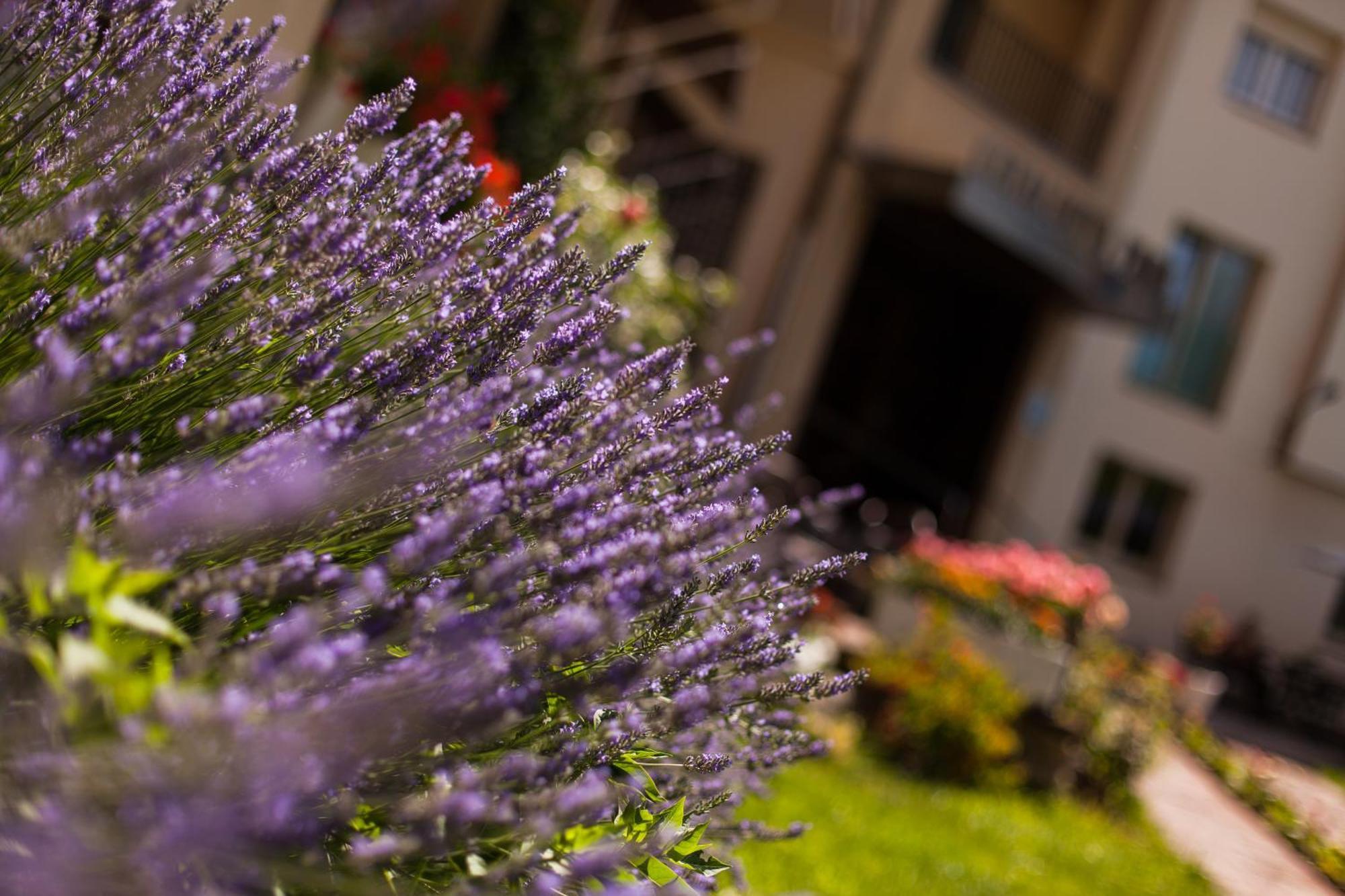 Hotel Catalunya Park Ribes De Freser Exterior photo