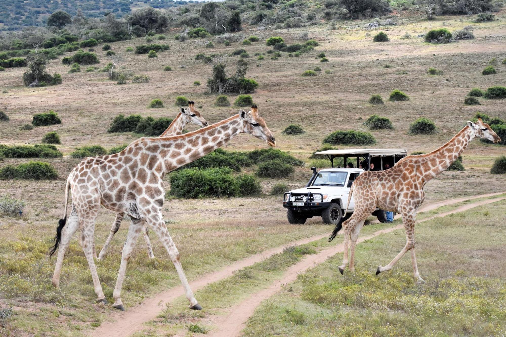 Zuurberg Mountain Village Addo Exterior photo