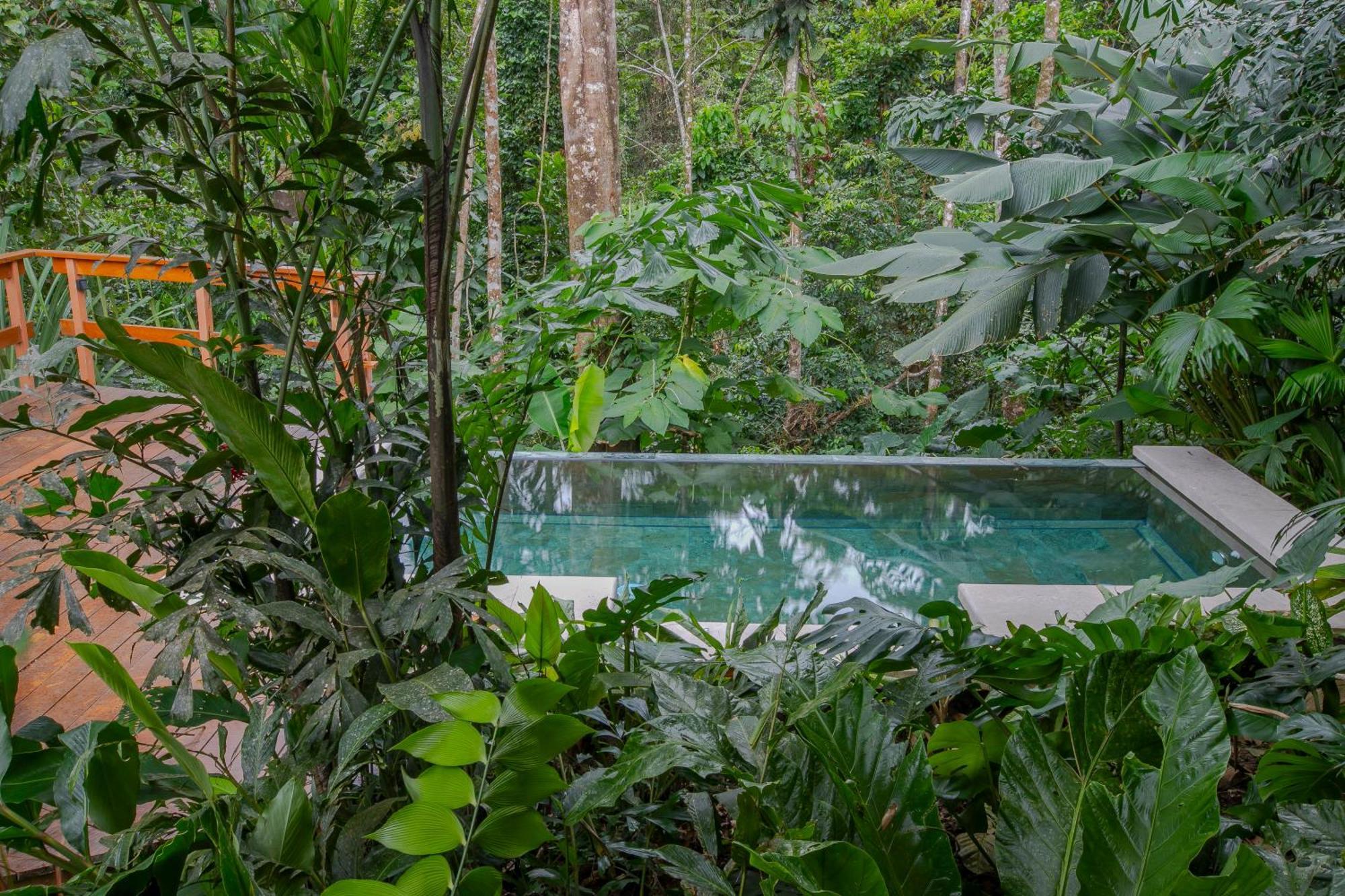 Chachagua Rainforest Hotel & Hot Springs La Fortuna Exterior photo