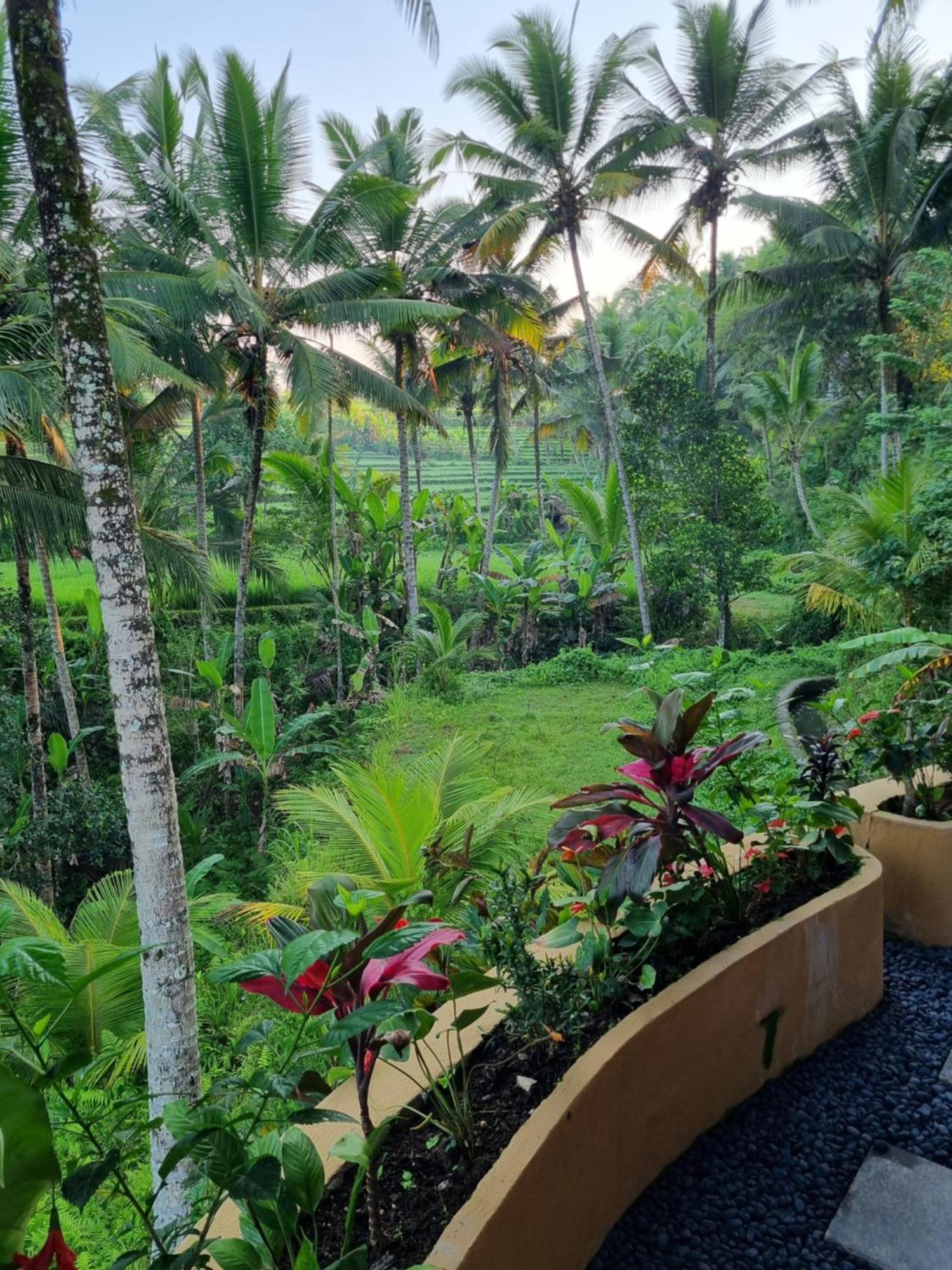 Puri Sebali Resort Ubud  Exterior photo