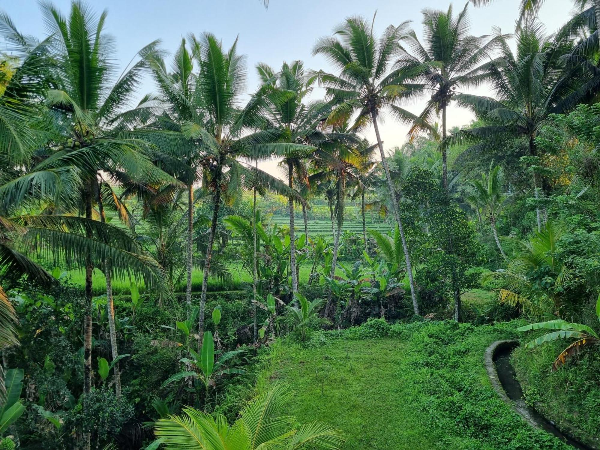 Puri Sebali Resort Ubud  Exterior photo