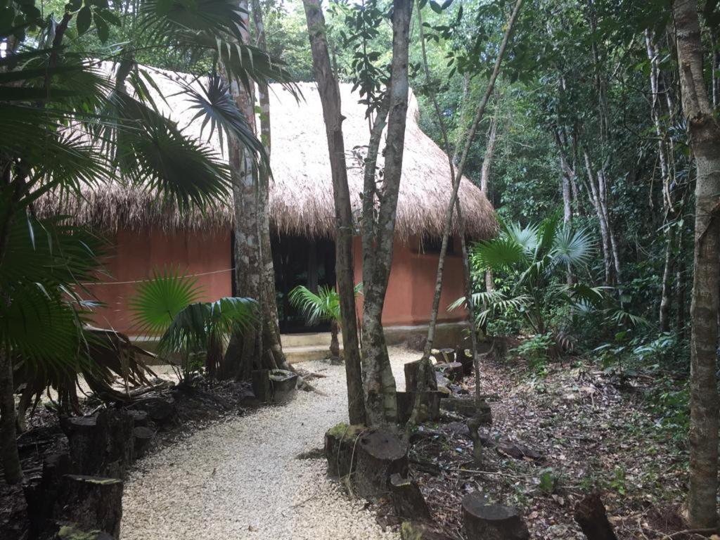 Jolie Jungle Eco Hotel (Adults Only) Leona Vicario Exterior photo