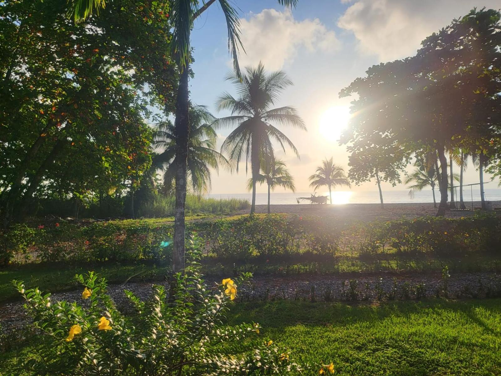 Agua Dulce Beach Resort Puerto Jimenez Exterior photo