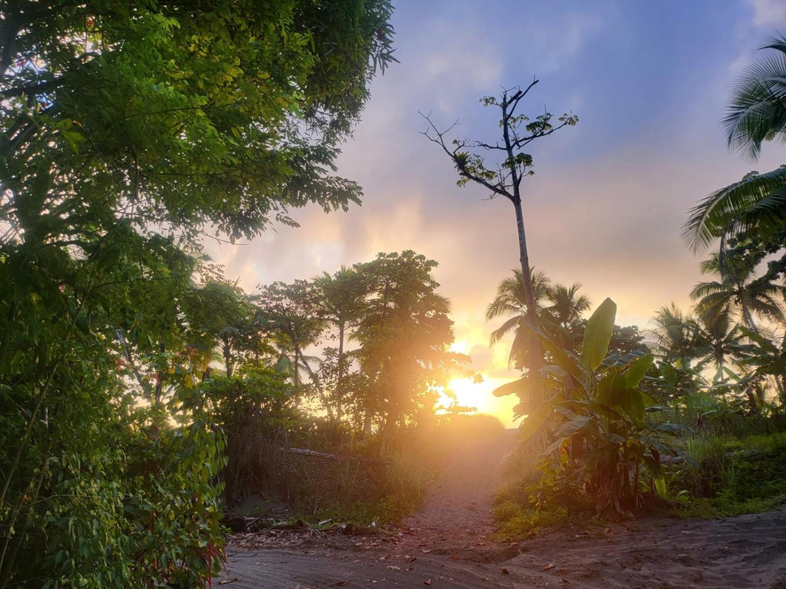 Agua Dulce Beach Resort Puerto Jimenez Exterior photo