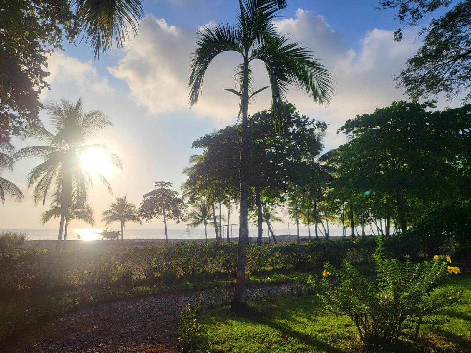 Agua Dulce Beach Resort Puerto Jimenez Exterior photo