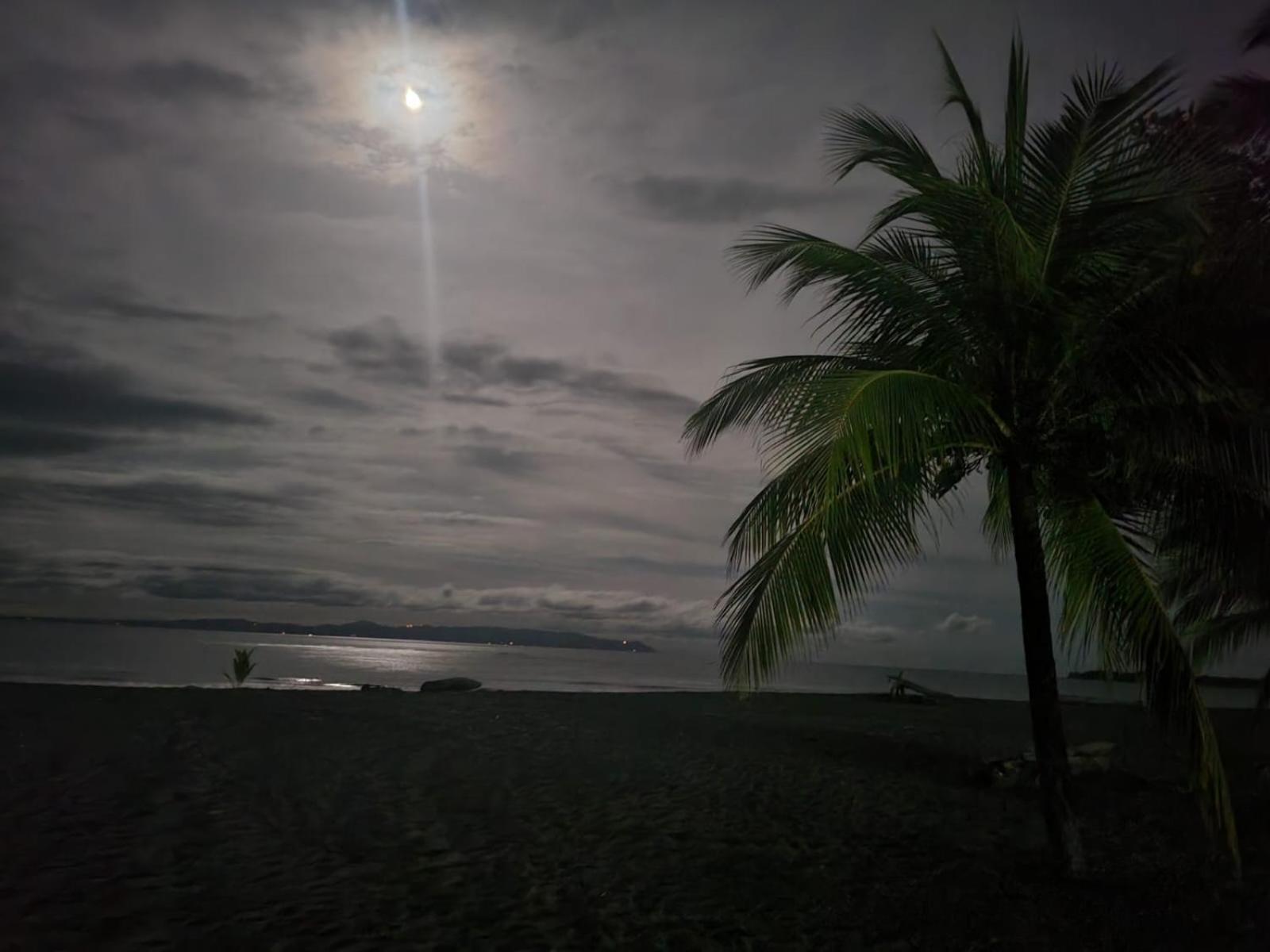 Agua Dulce Beach Resort Puerto Jimenez Exterior photo