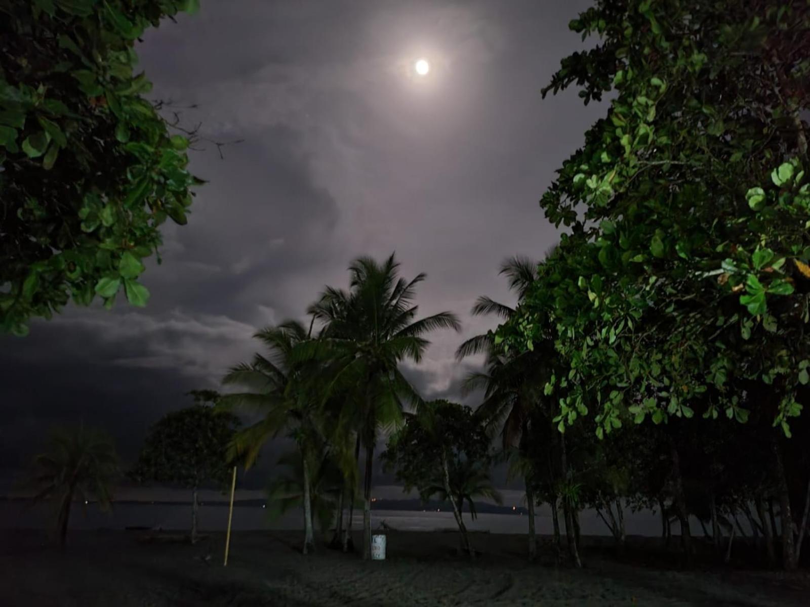 Agua Dulce Beach Resort Puerto Jimenez Exterior photo