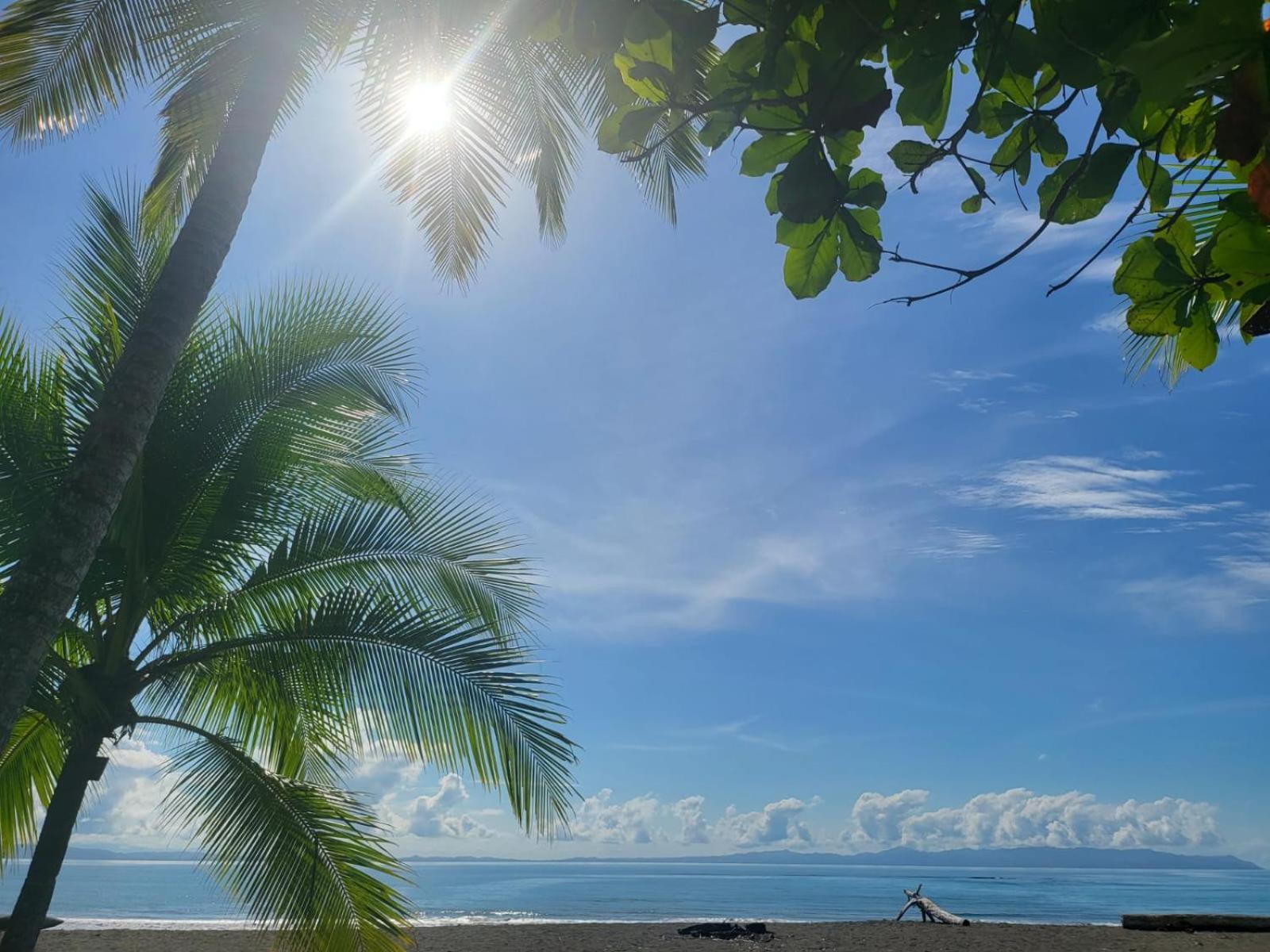 Agua Dulce Beach Resort Puerto Jimenez Exterior photo