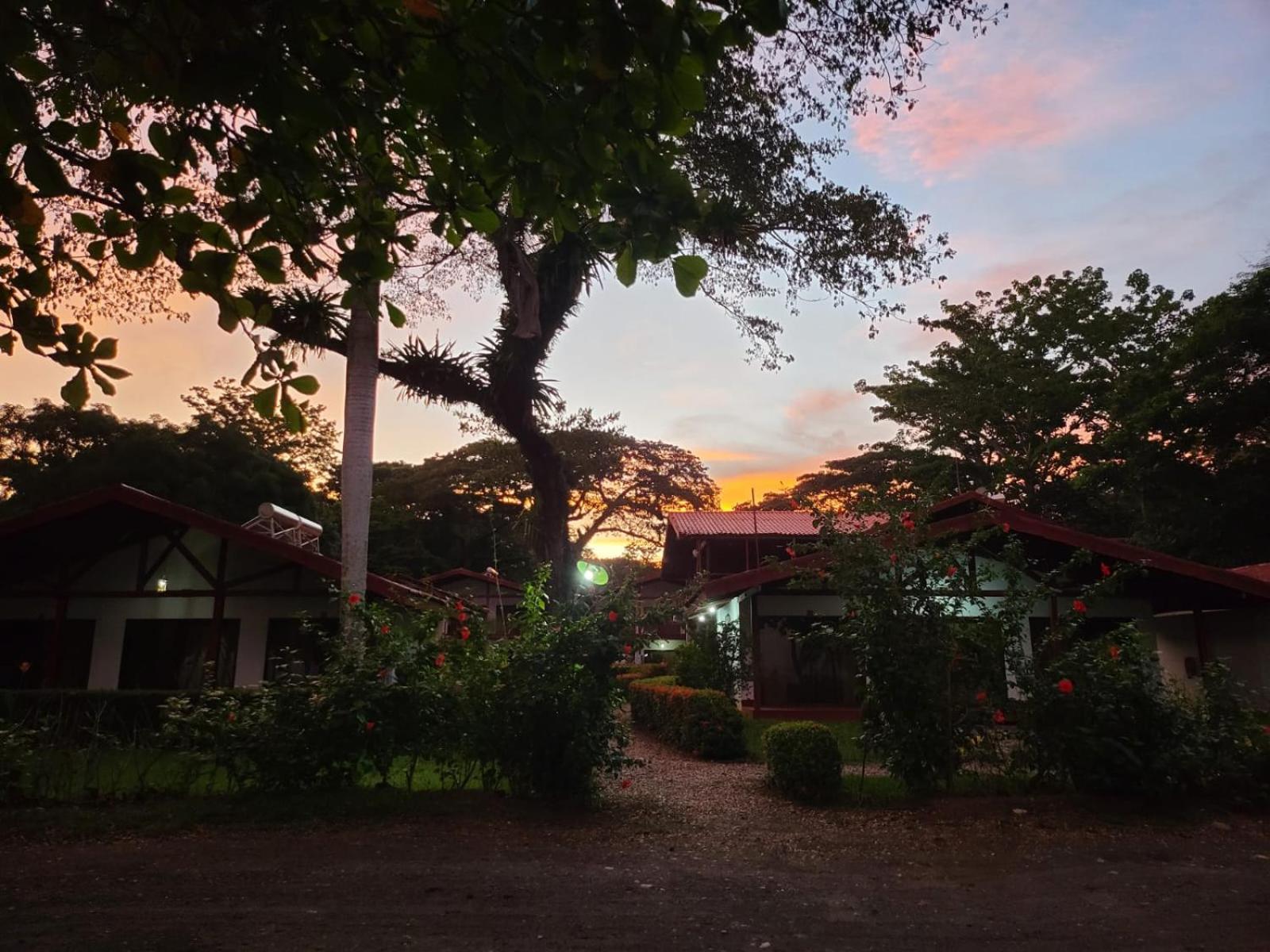 Agua Dulce Beach Resort Puerto Jimenez Exterior photo