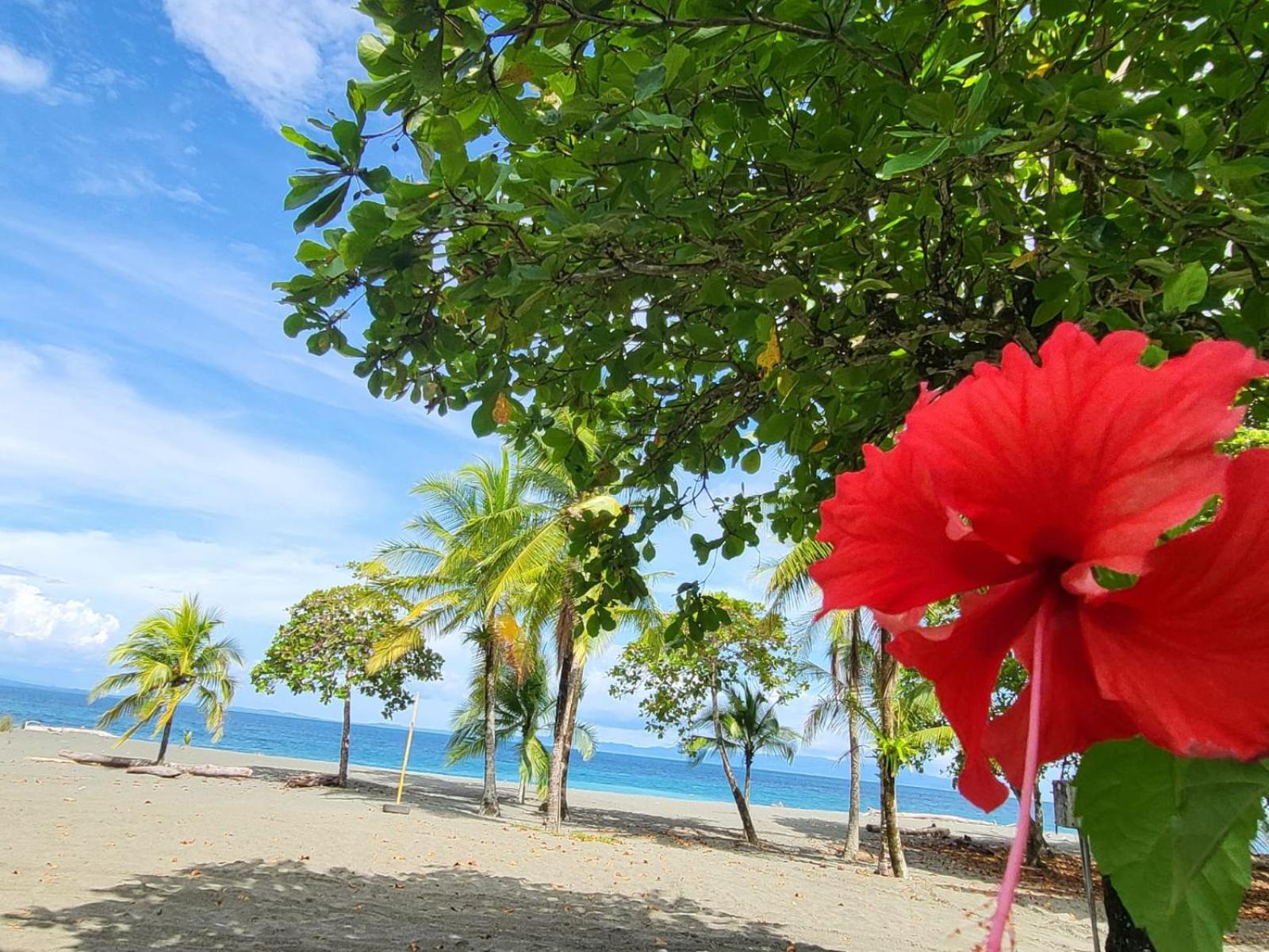 Agua Dulce Beach Resort Puerto Jimenez Exterior photo