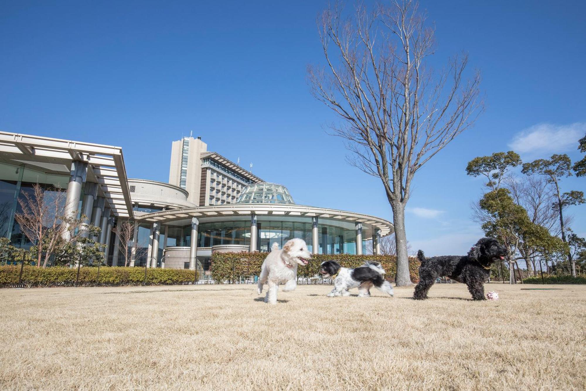 Hilton Odawara Resort & Spa Exterior photo