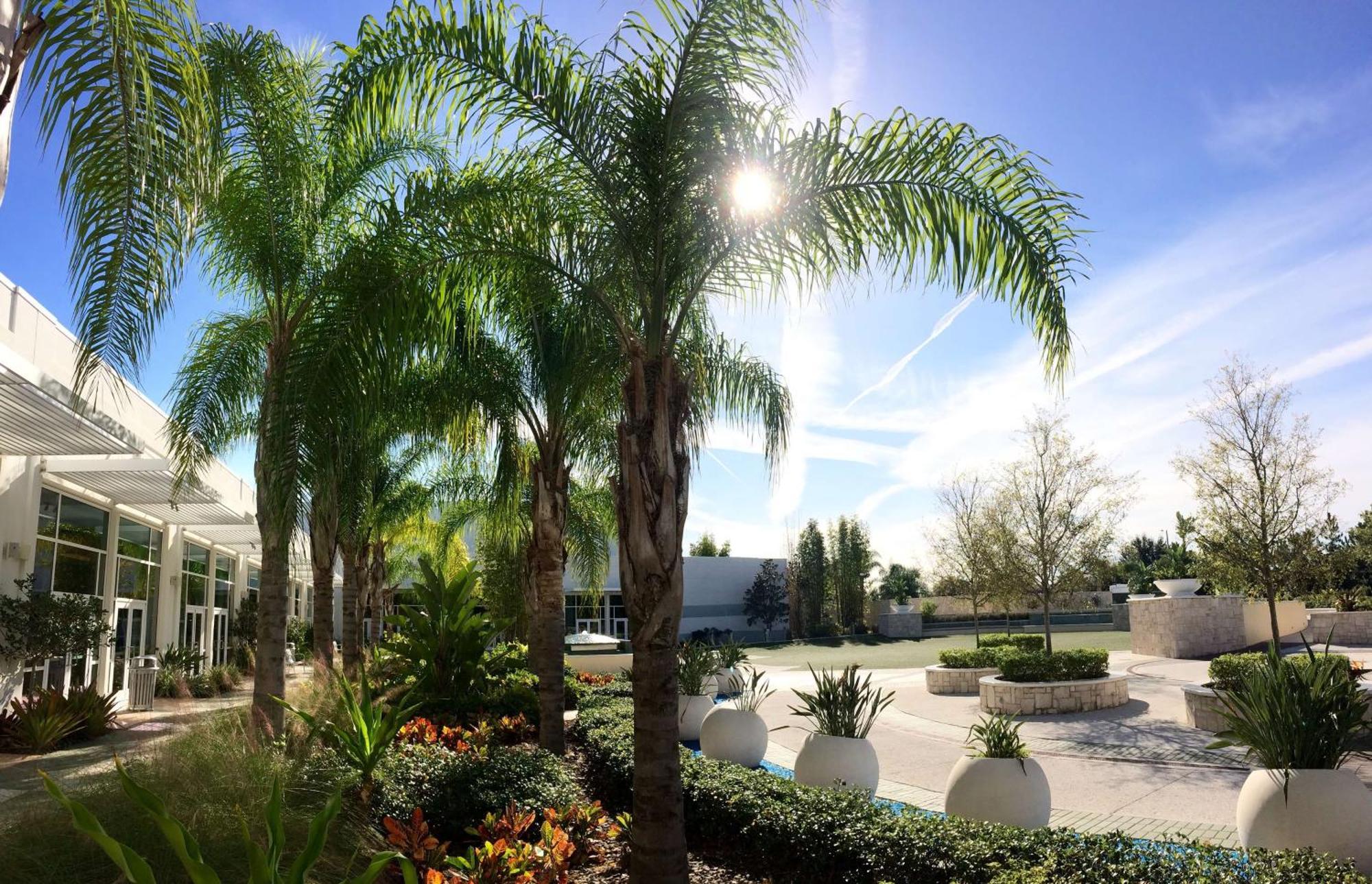 Hilton Orlando Hotel Exterior photo